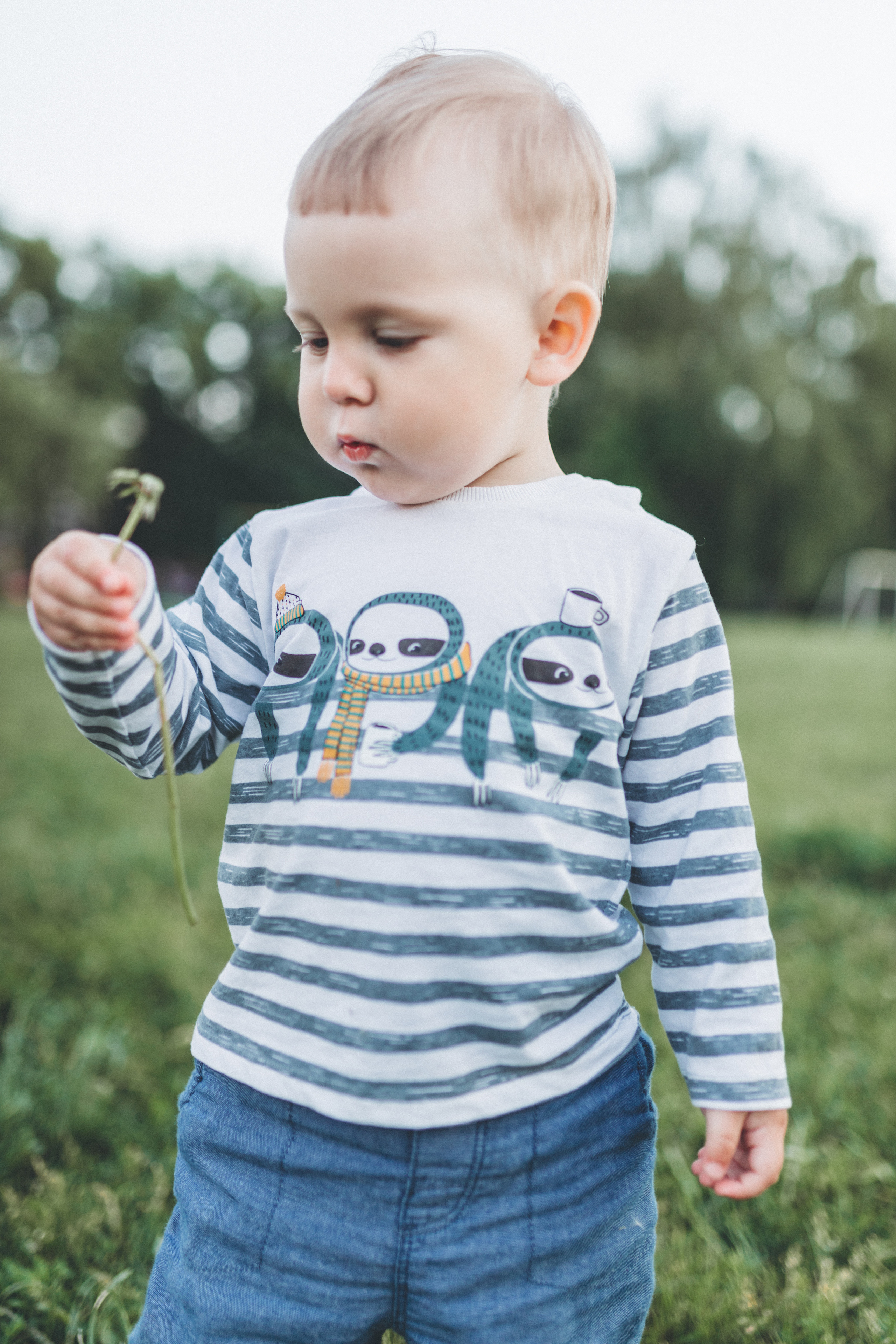 Прогулка по люпиновому полю с Лешей, Кристиной и Мишенькой. Мария Беседина. Фотография о любви