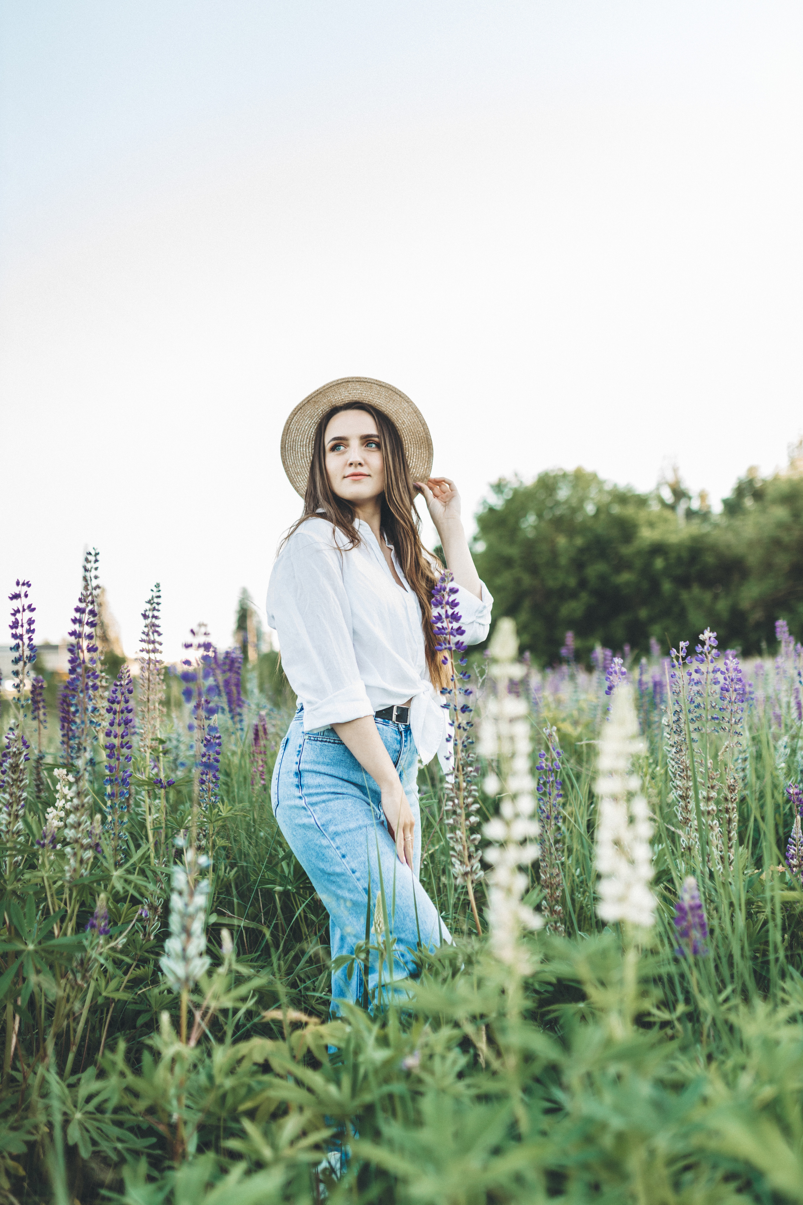 Прогулка по люпиновому полю с Лешей, Кристиной и Мишенькой. Мария Беседина. Фотография о любви