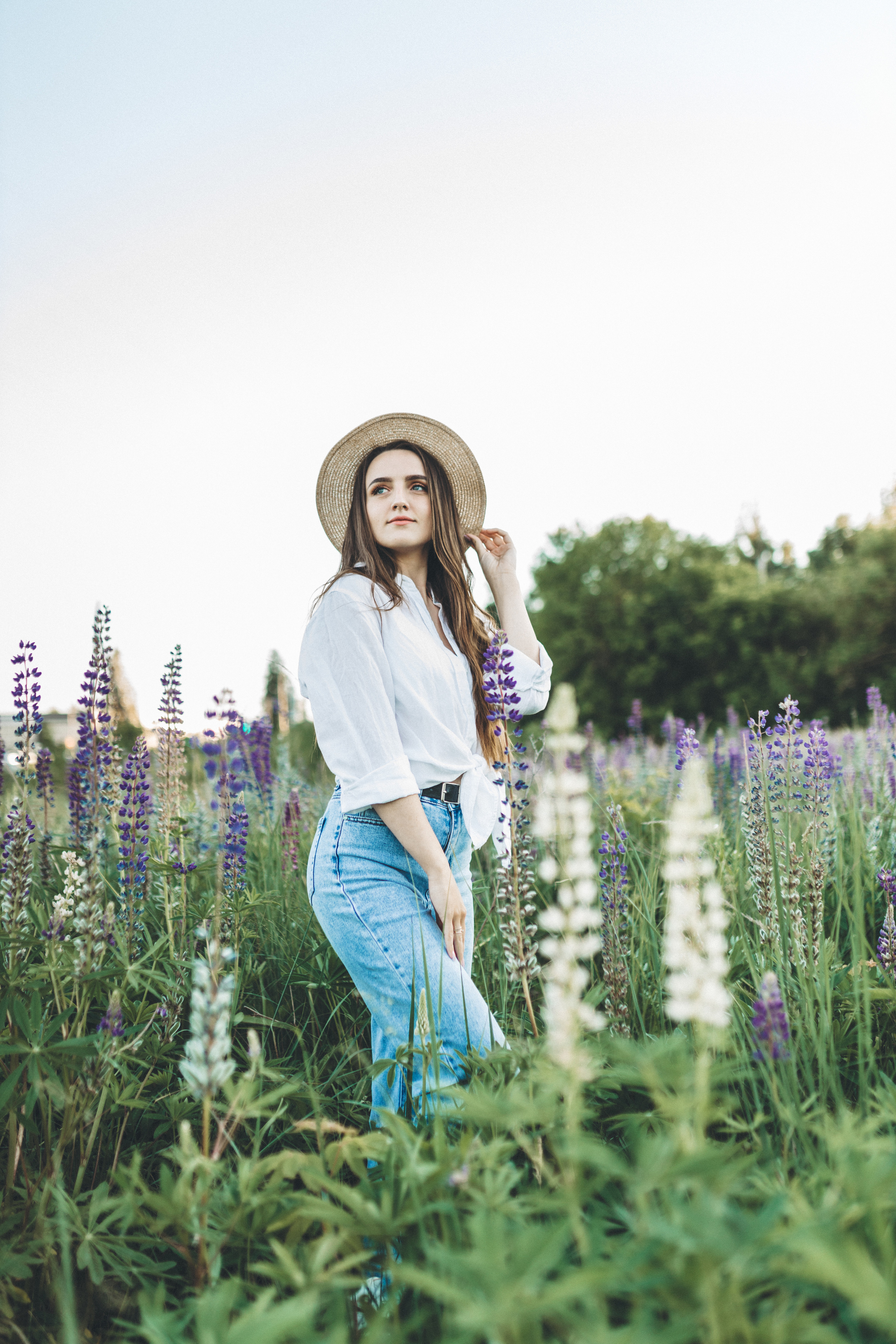 Прогулка по люпиновому полю с Лешей, Кристиной и Мишенькой. Мария Беседина. Фотография о любви