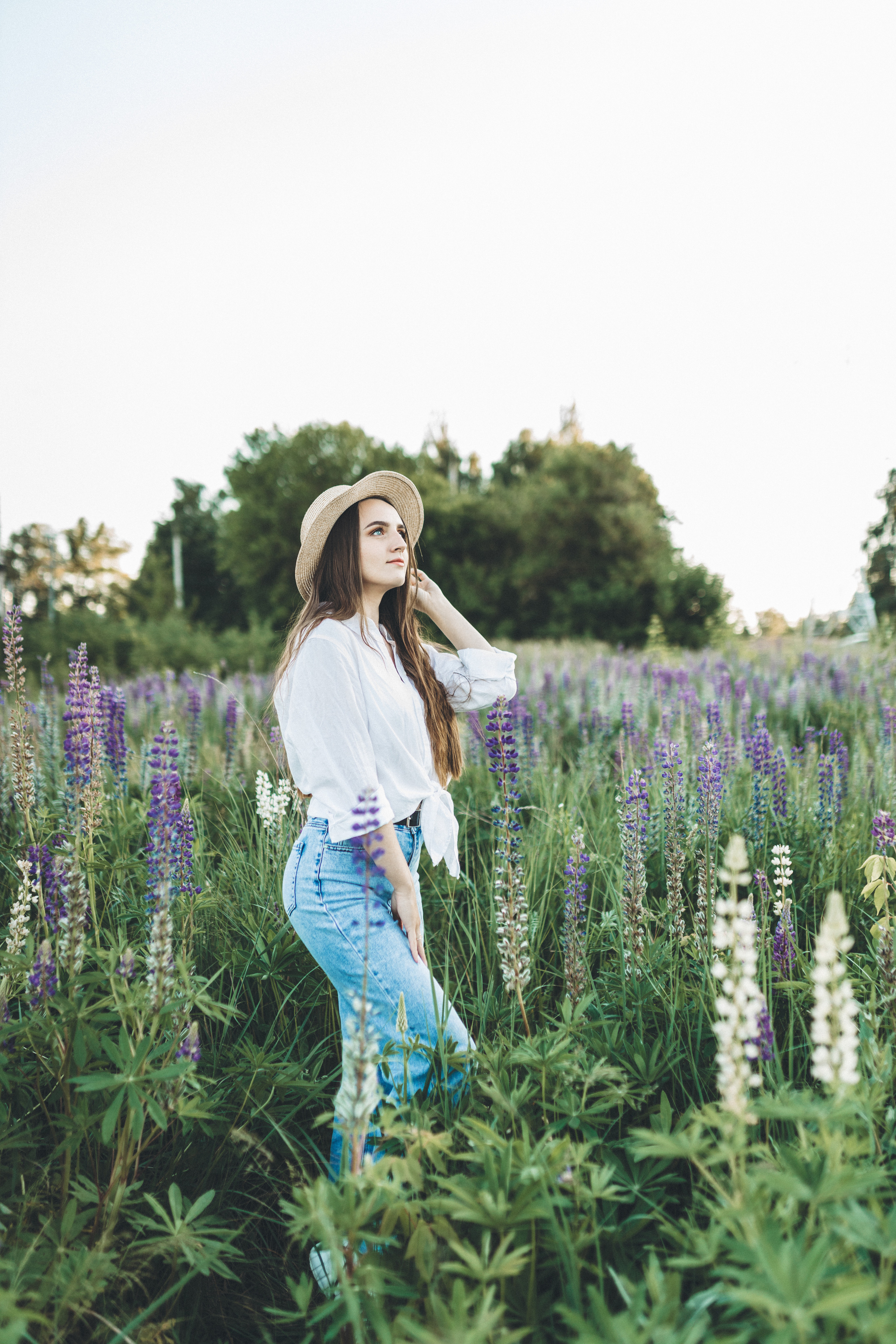 Прогулка по люпиновому полю с Лешей, Кристиной и Мишенькой. Мария Беседина. Фотография о любви
