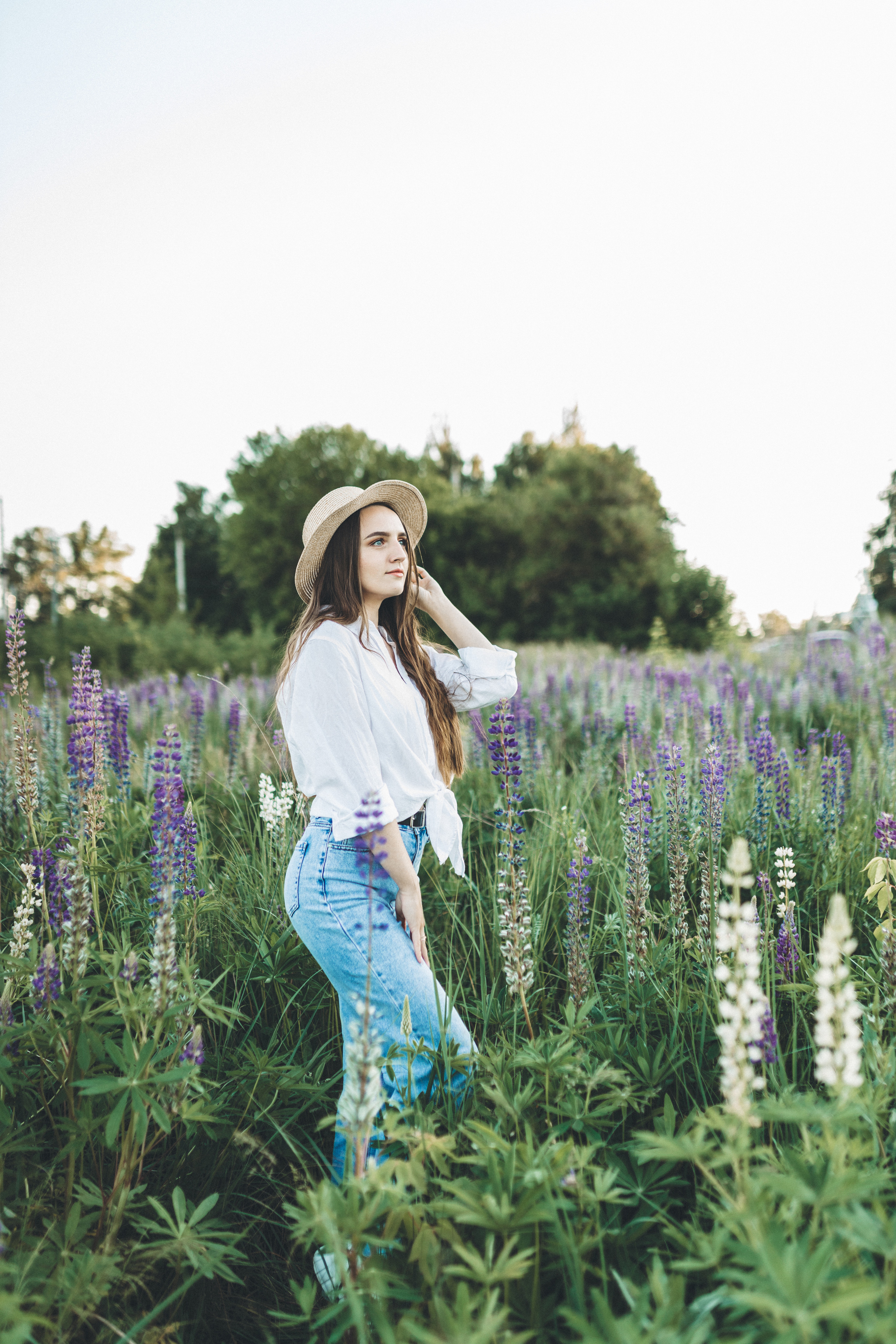 Прогулка по люпиновому полю с Лешей, Кристиной и Мишенькой. Мария Беседина. Фотография о любви
