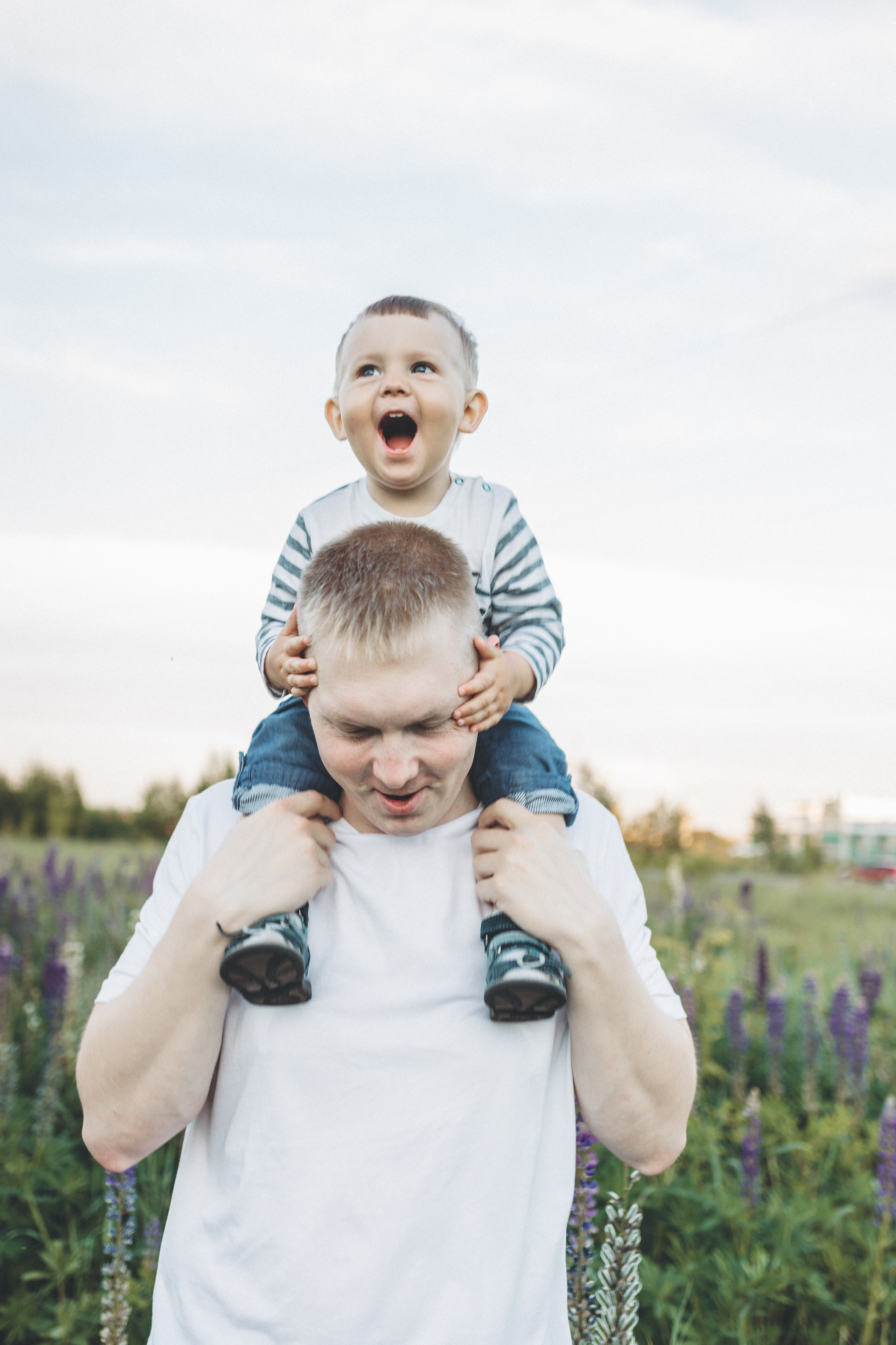 Прогулка по люпиновому полю с Лешей, Кристиной и Мишенькой. Мария Беседина. Фотография о любви