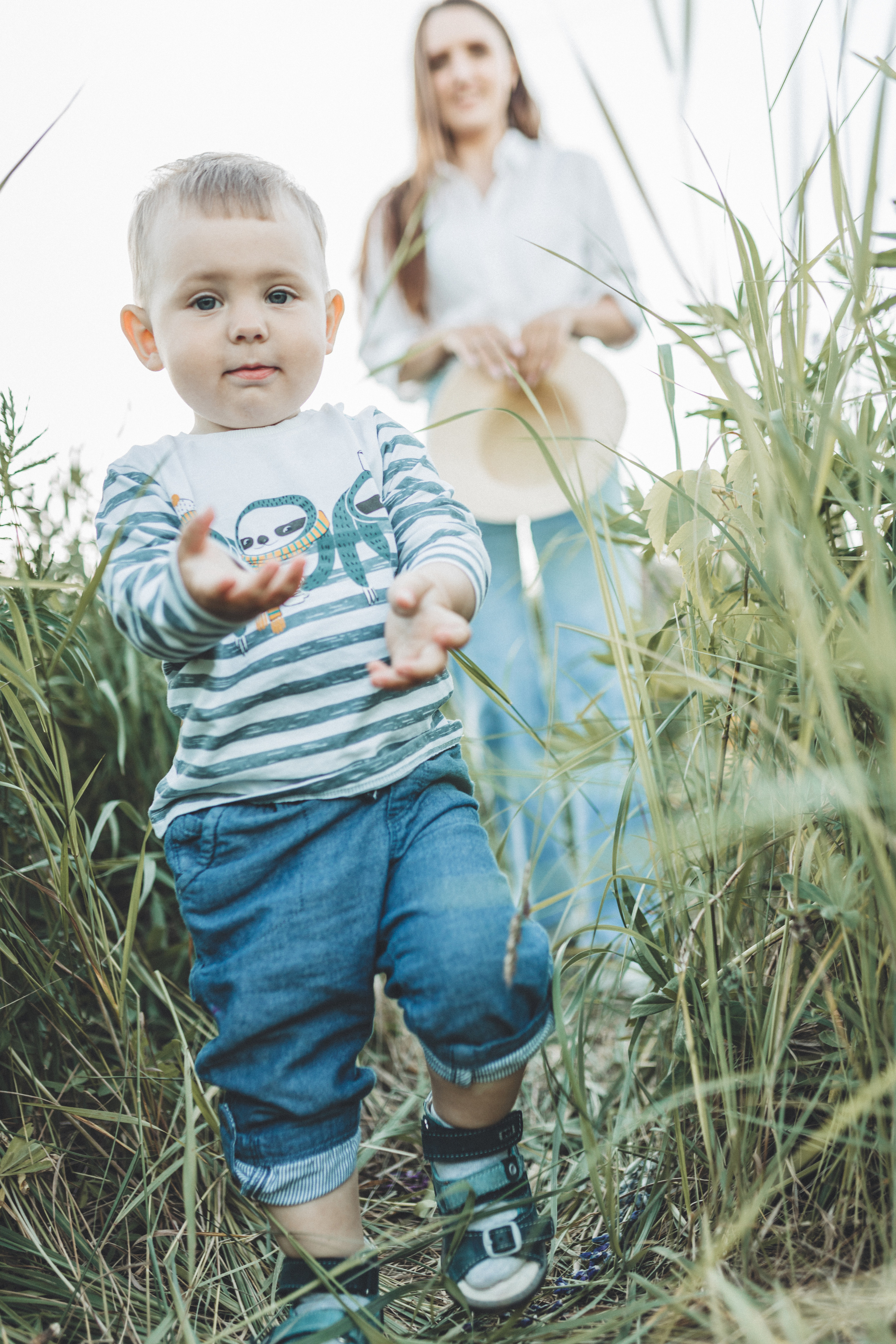 Прогулка по люпиновому полю с Лешей, Кристиной и Мишенькой. Мария Беседина. Фотография о любви
