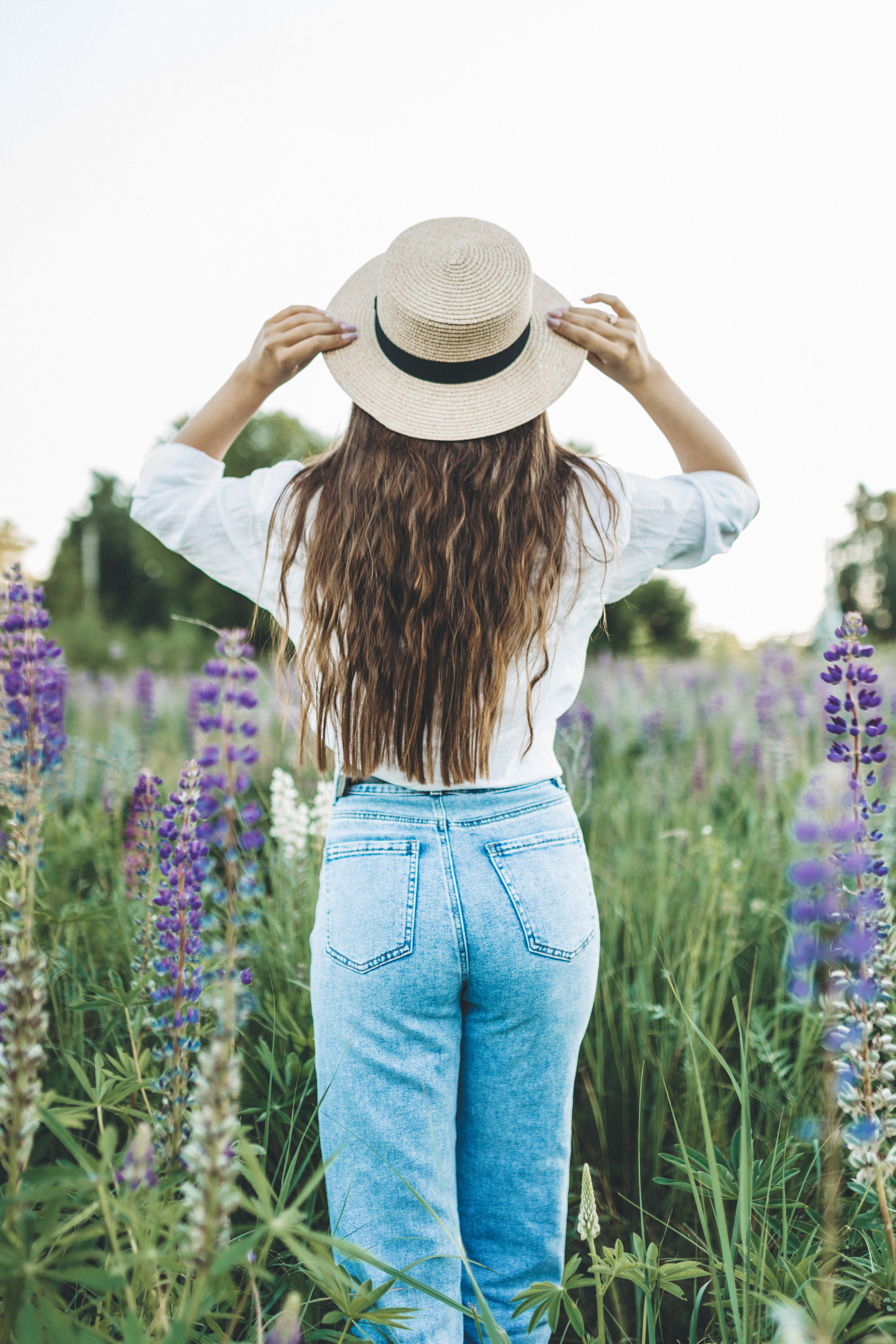 Прогулка по люпиновому полю с Лешей, Кристиной и Мишенькой. Мария Беседина. Фотография о любви