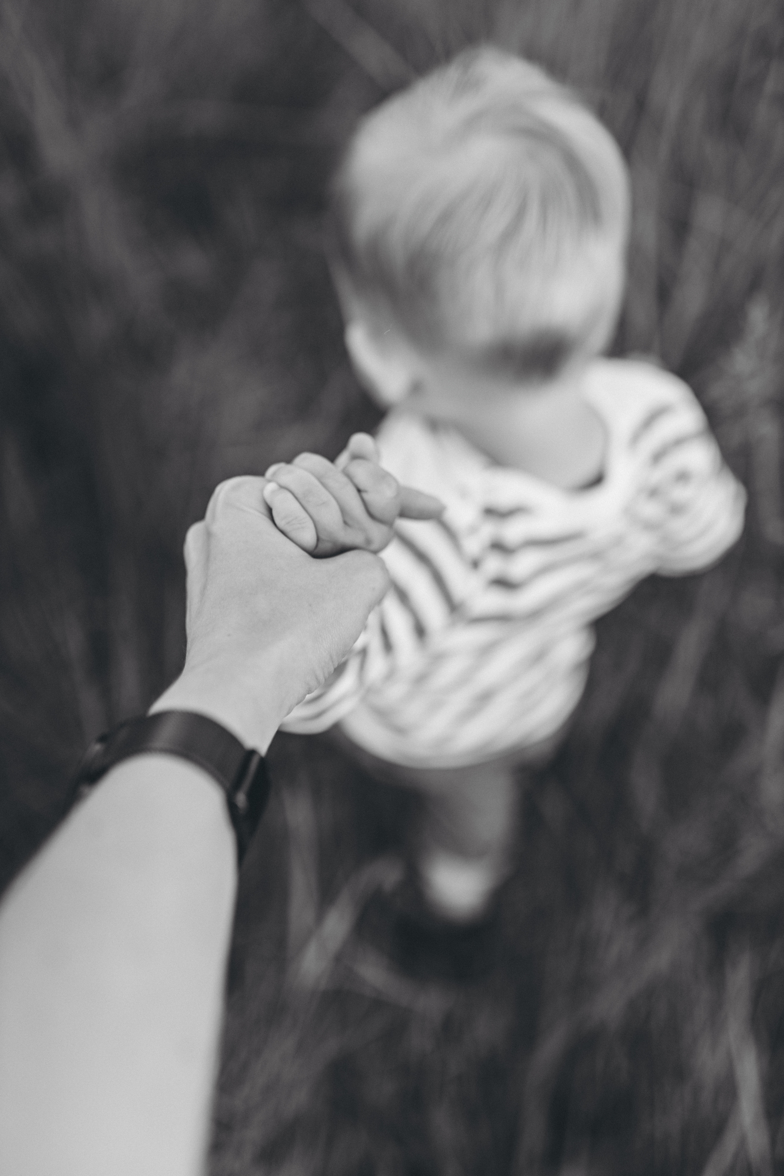 Прогулка по люпиновому полю с Лешей, Кристиной и Мишенькой. Мария Беседина. Фотография о любви