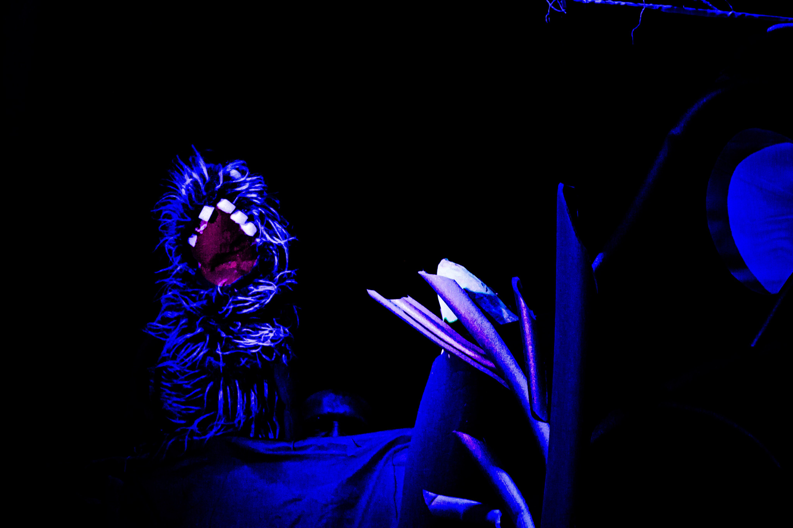 Мумитроли и большое наводнение спектакль театра Саквояж. Фотограф в Сочи Юрий Шептаев