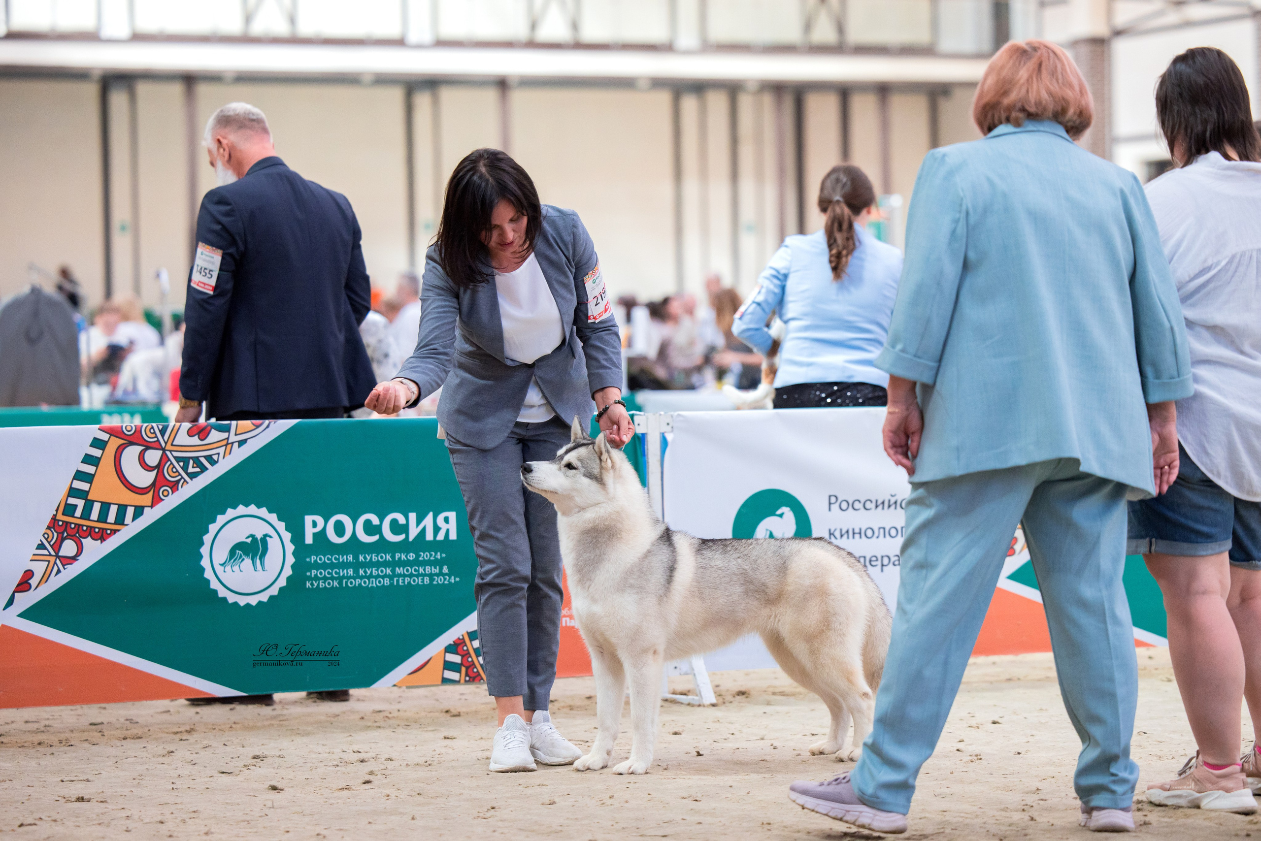РОССИЯ 8-9.06.2024. Фотограф-анималист Юлия Германика
