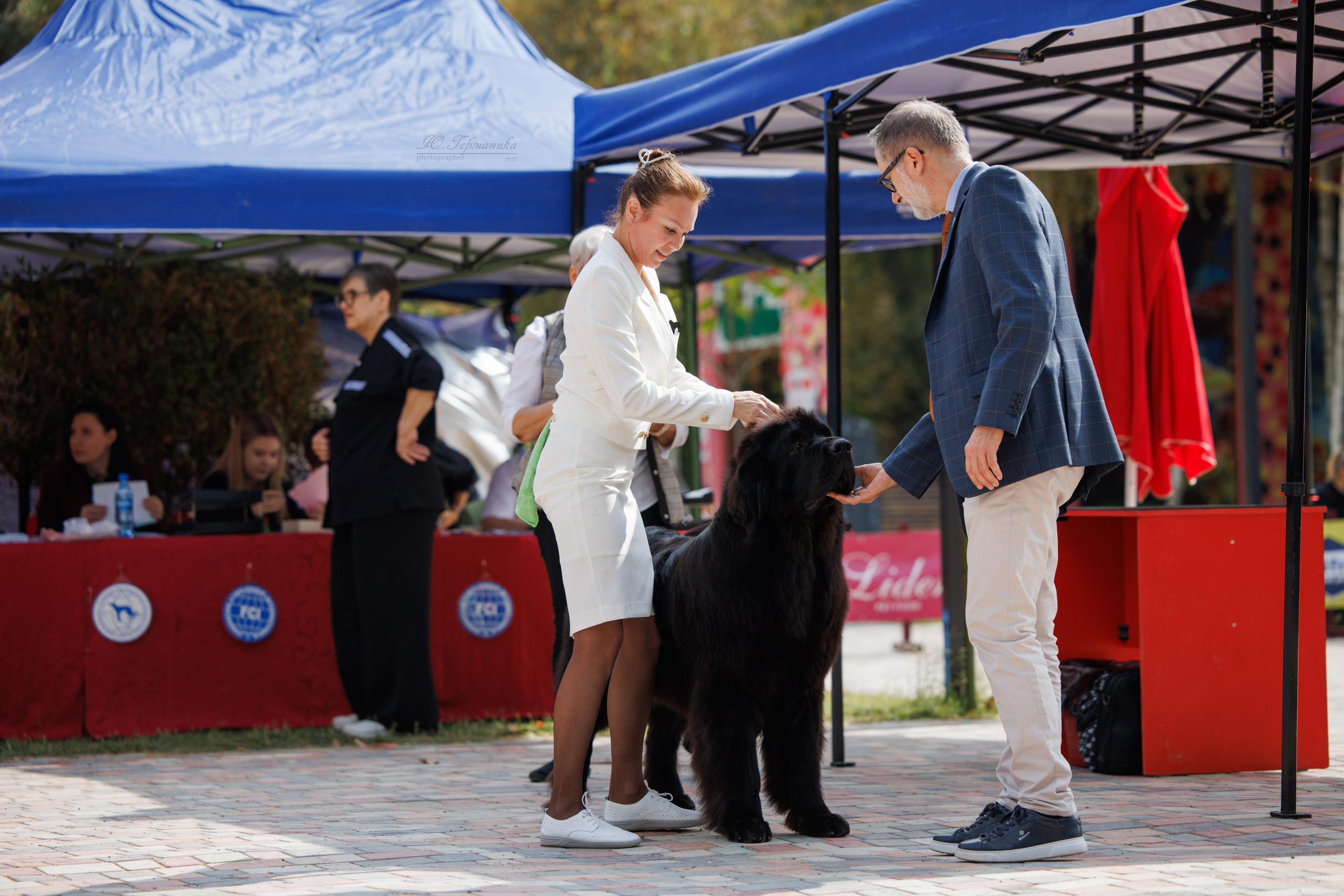 Ташкент 3хCACIB 3-5.10.2025. Фотограф-анималист Юлия Германика