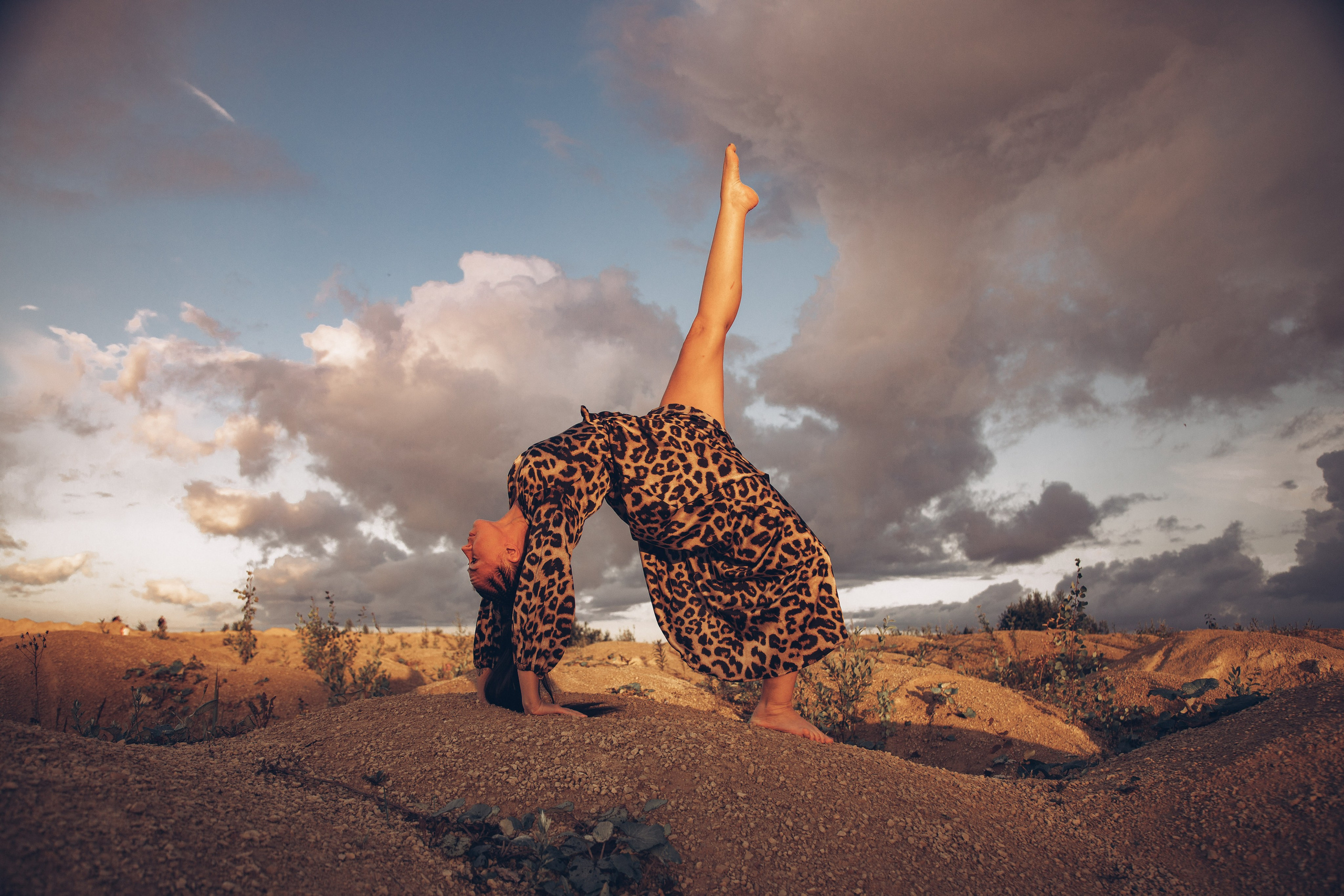 Леопард. Фотограф в Санкт-Петербурге