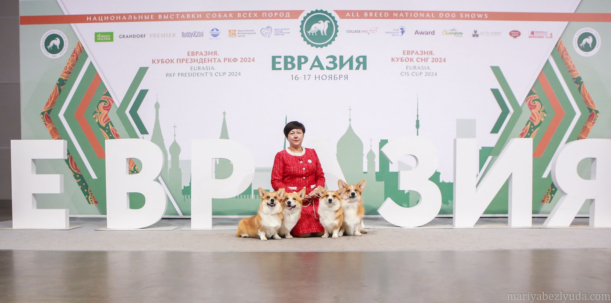 Фотосъёмка на выставках, съёмка в ринге, выставки собак. Семейный и детский фотограф в Москве Мария Быкова