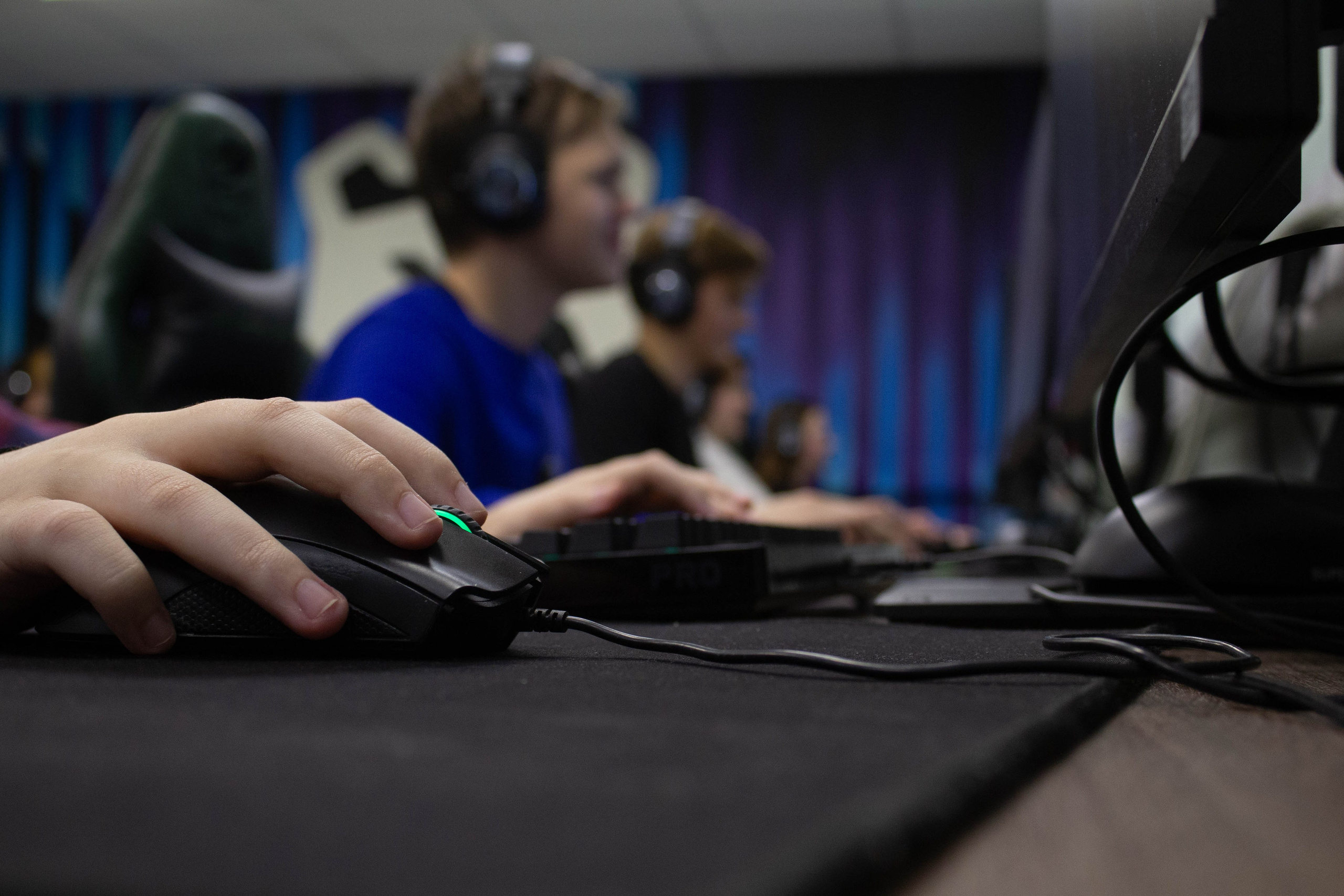 Polycup. Карпогоры, Санкт-Петербург