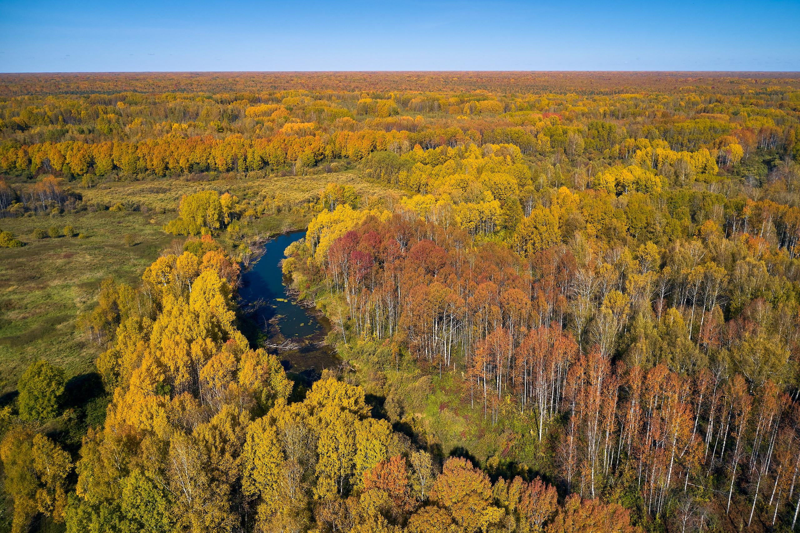 Съемка в полете. DMITRY MOISEENKO — фотограф, художник, топ-стилист