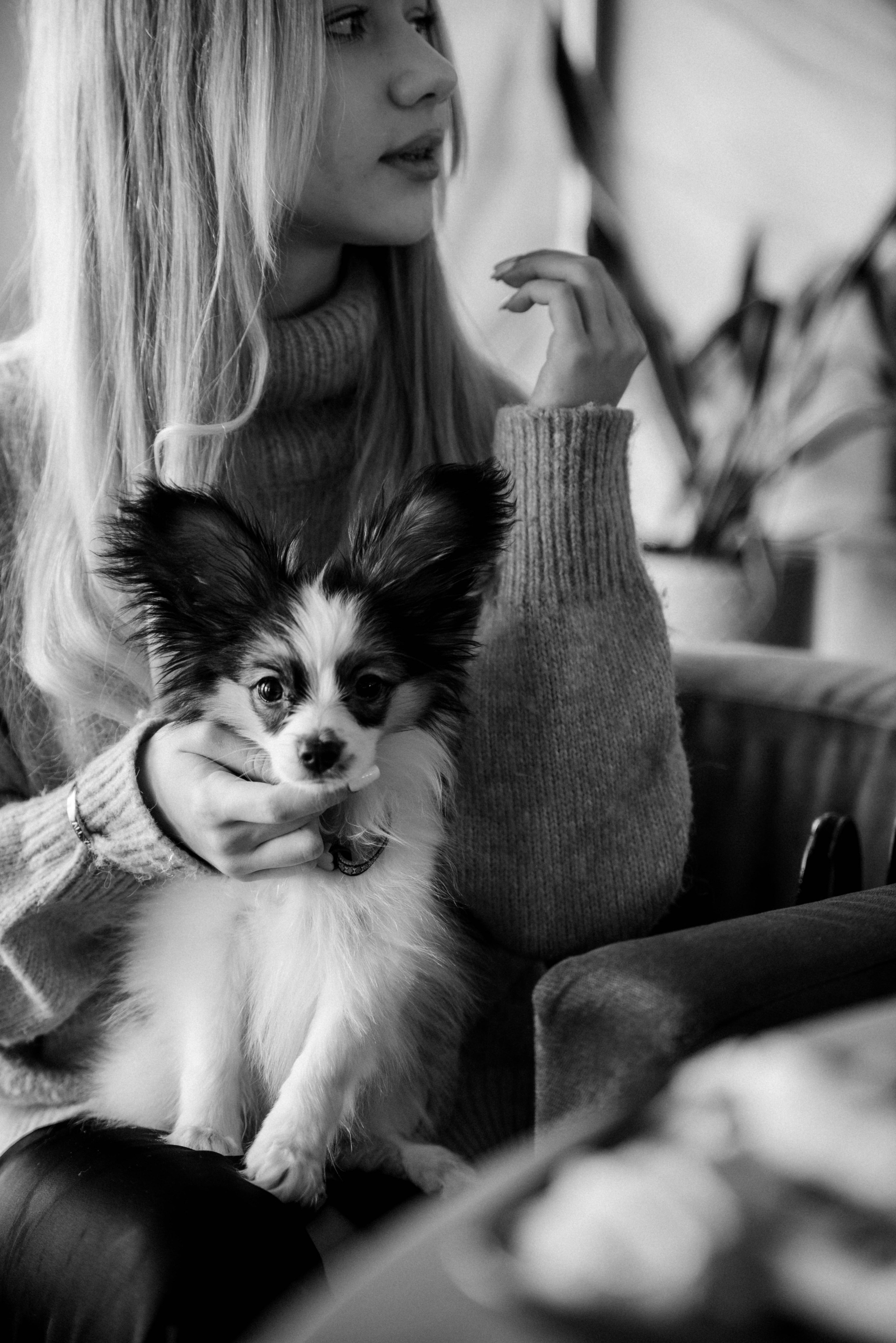 Настя, Света и Папийон Луней. Главная