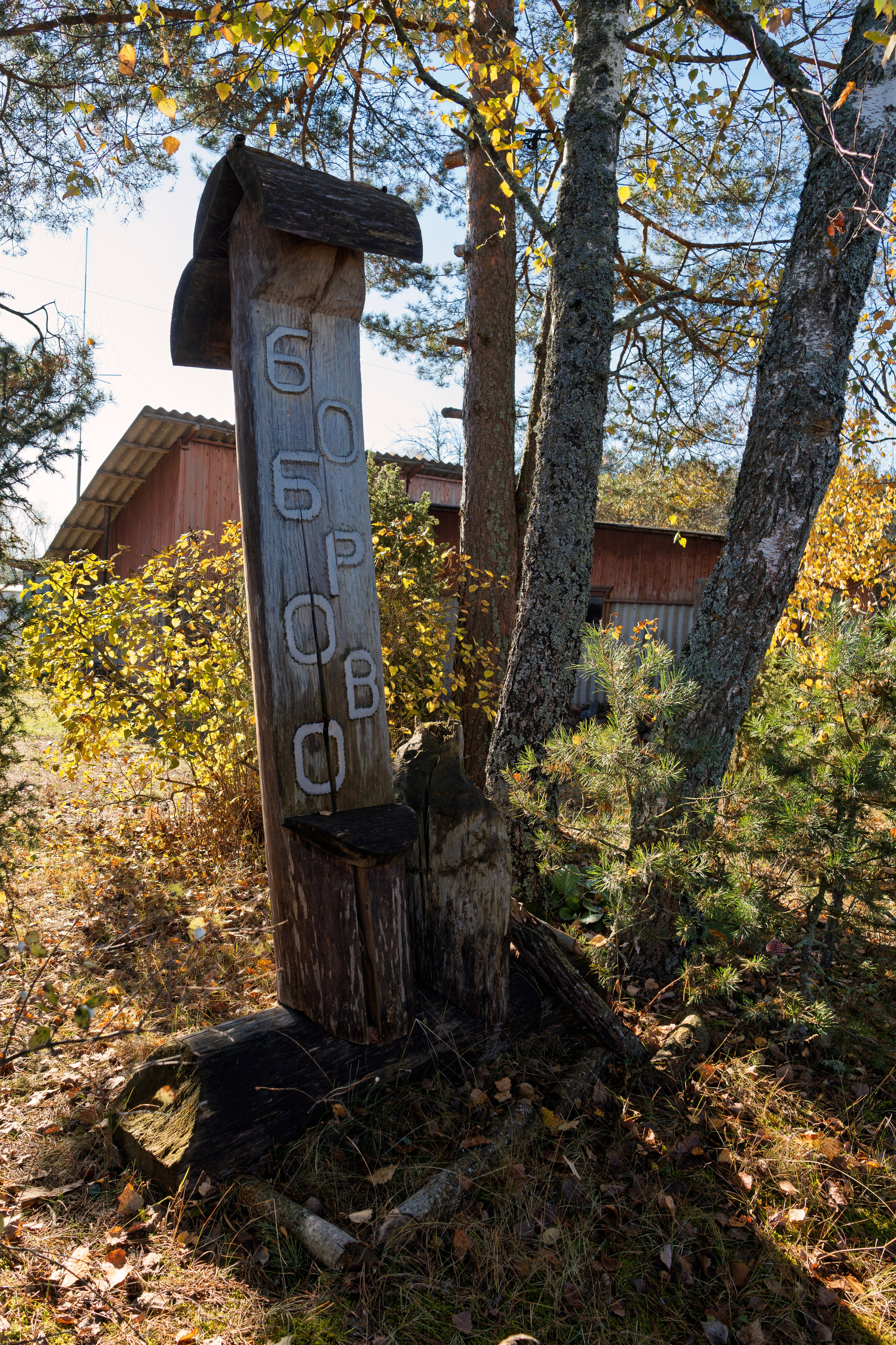 Голубые озера, Псковская область. Октябрь 2024. Фотограф Никифоров-Гордеев Сергей. Москва и МО