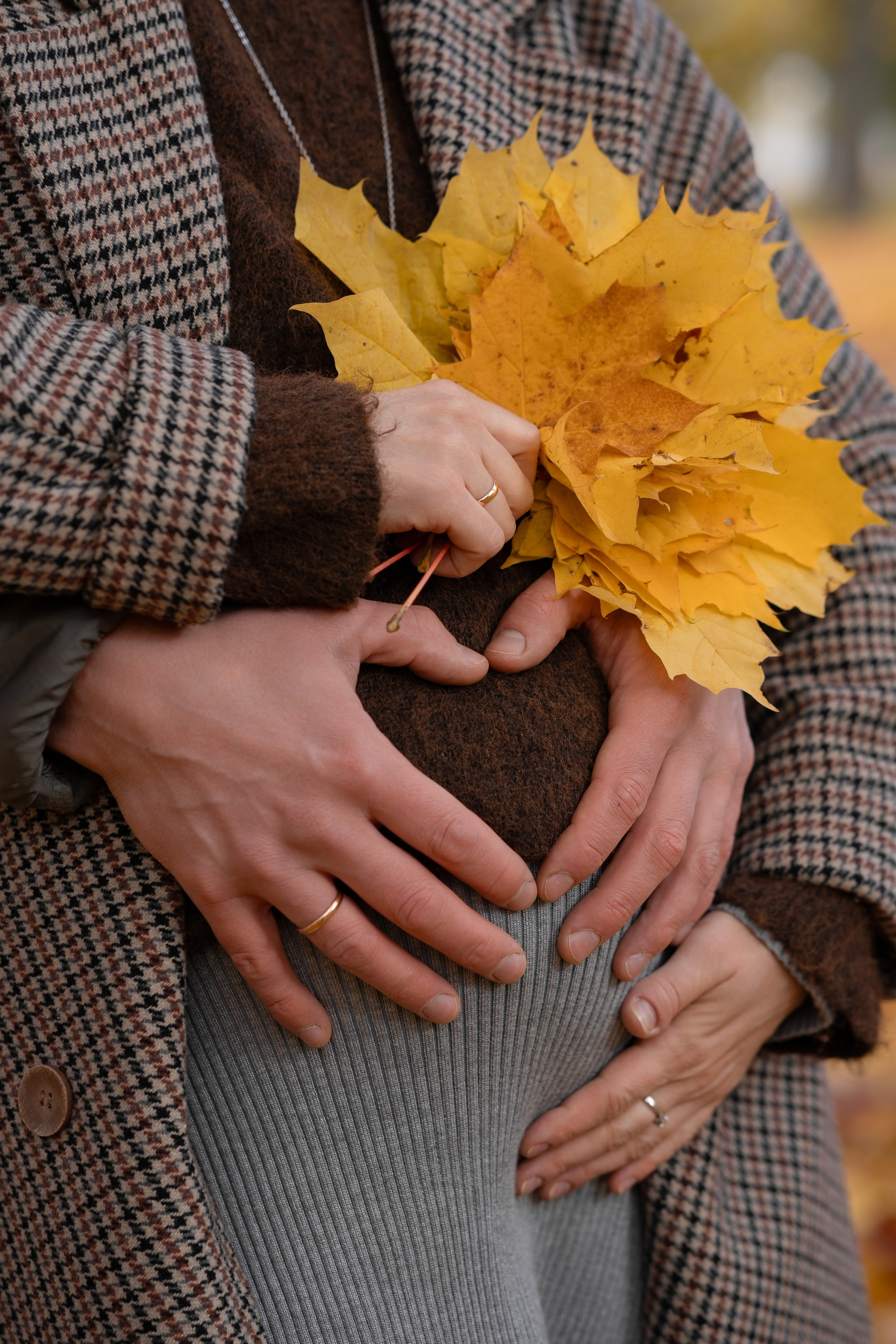 Осень на Каменном острове. Фотограф Виктория Юленкова
