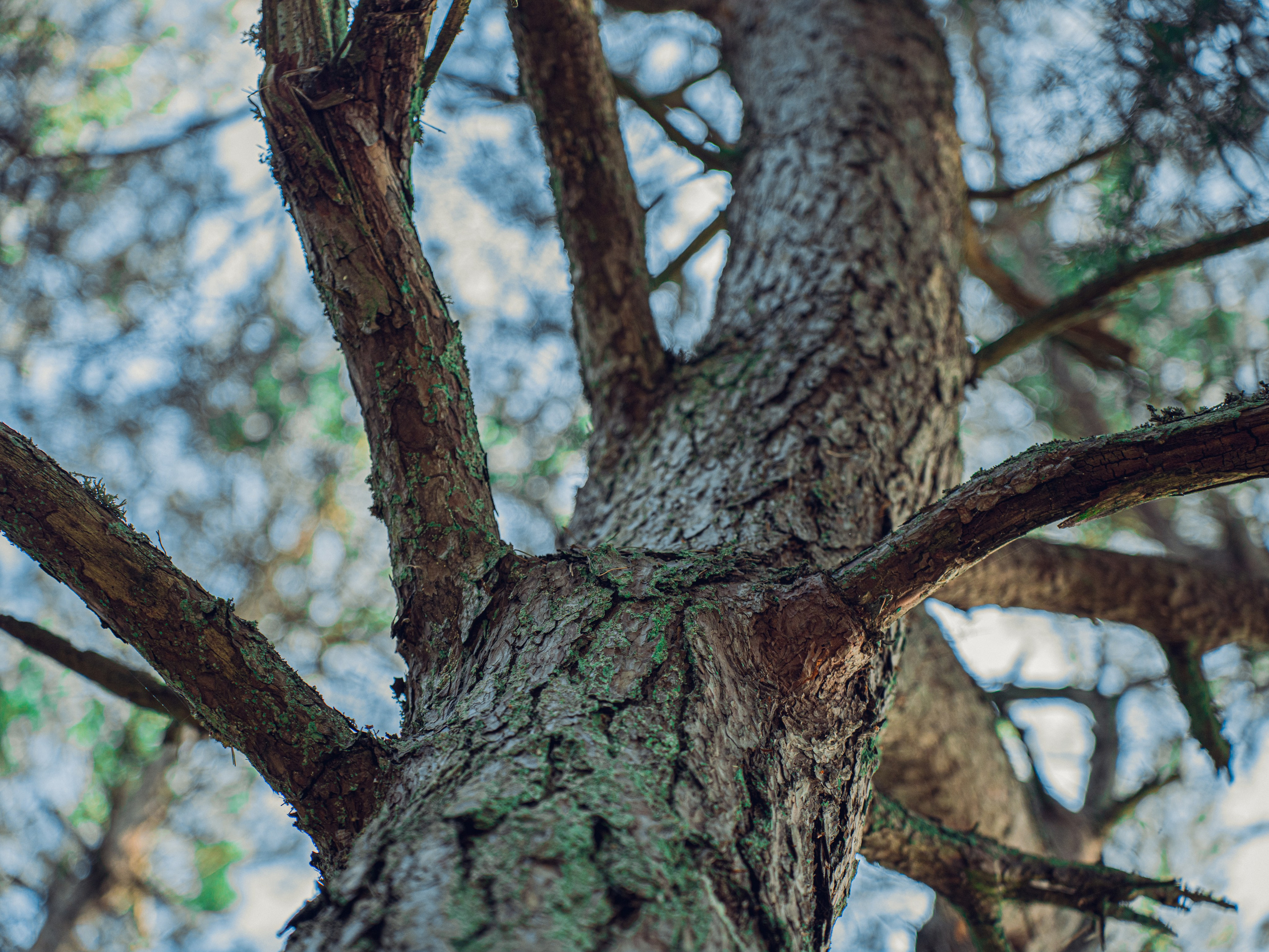 Калининградский трип друзей. Фотограф Мирослава Ряполова, Москва