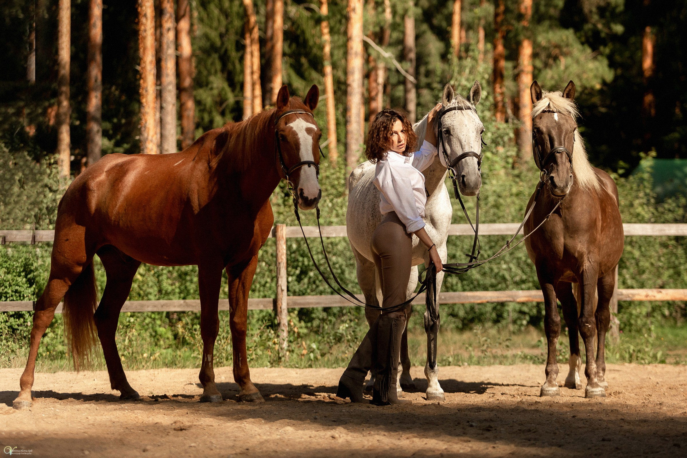 Фотосессия с лошадьми в кантри стиле. Фотограф женский и мужской портрет Санкт-Петербург