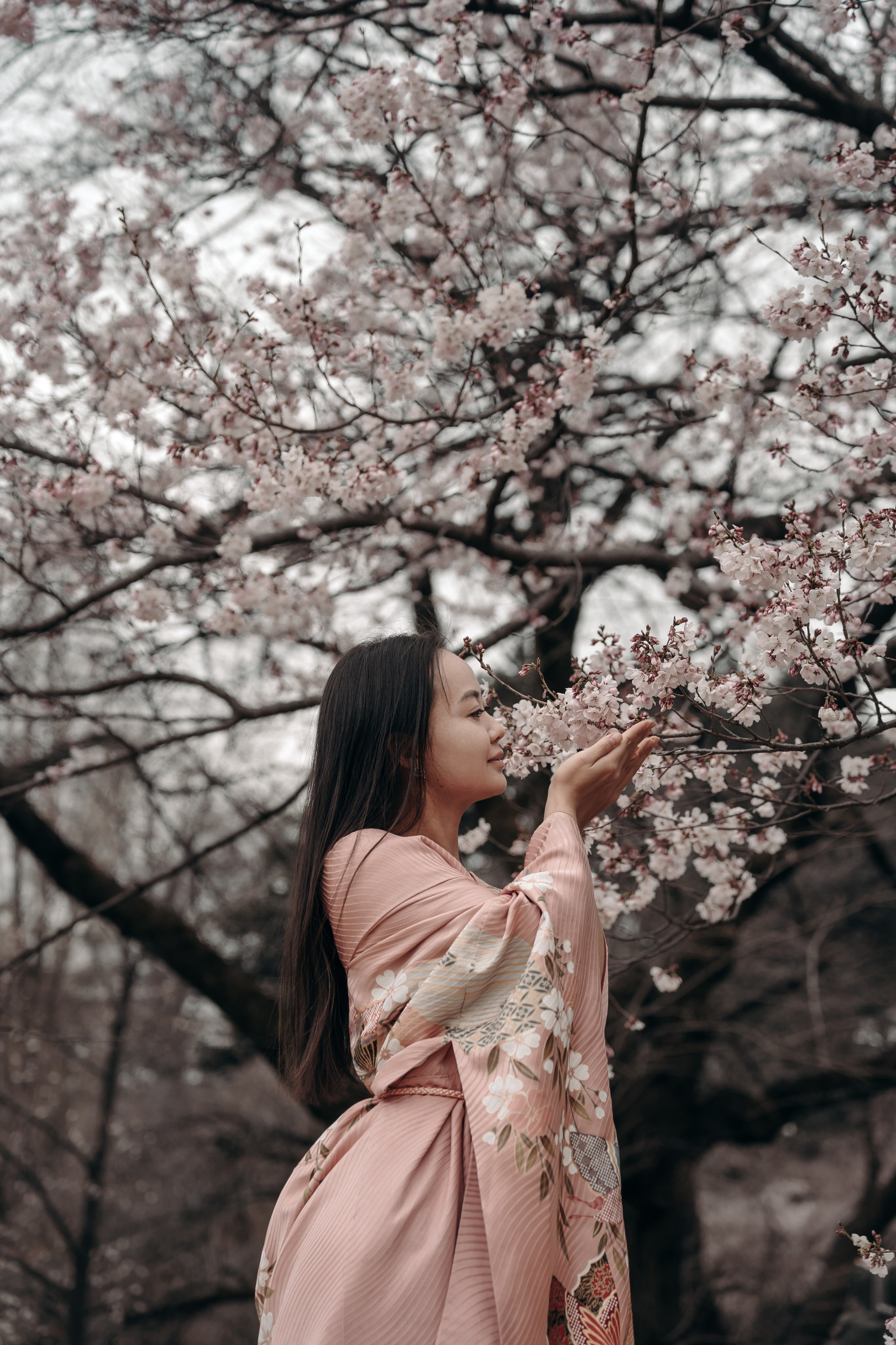 Sakura. Фотограф Алина Диева Москва | Токио