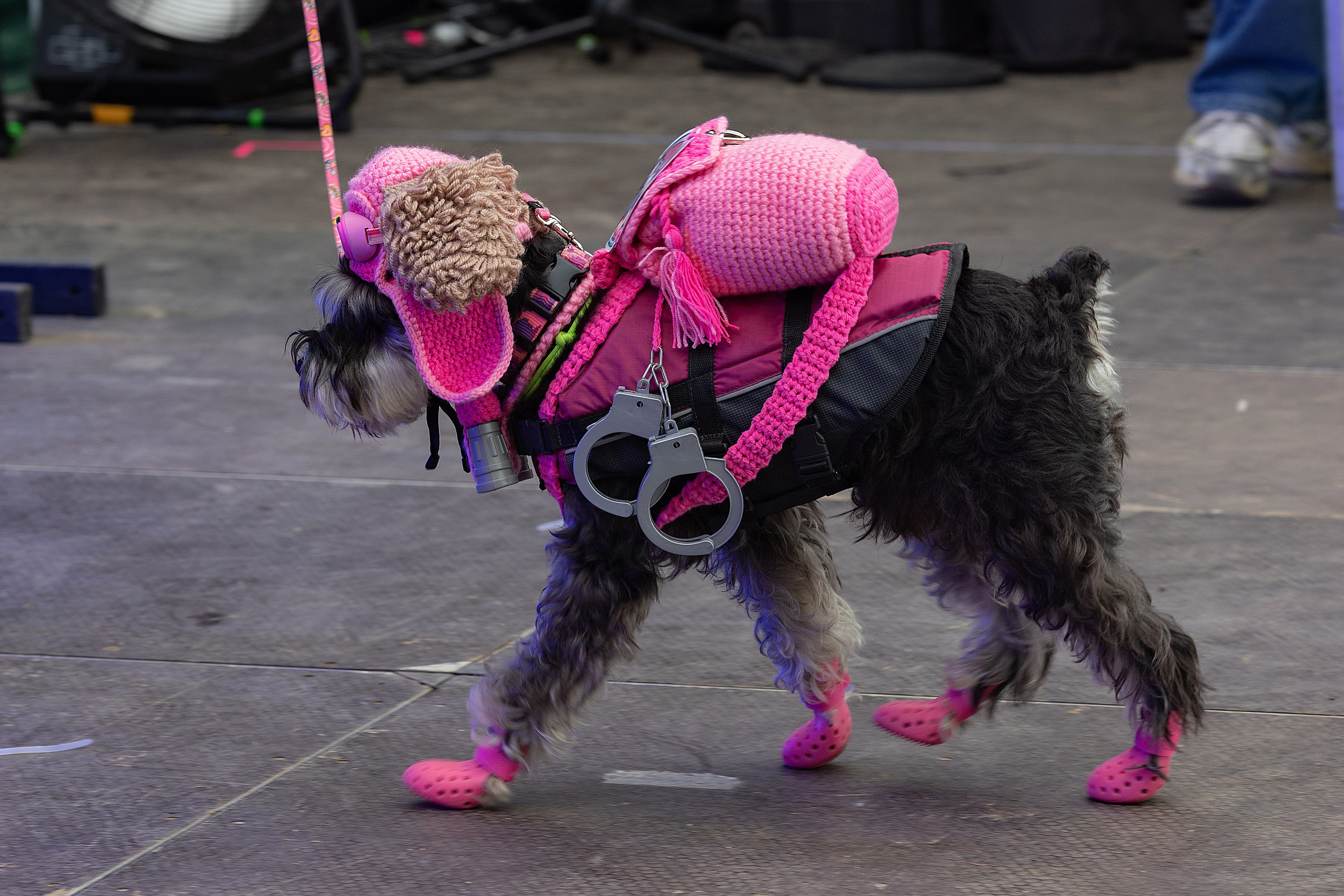 Petshop Days 2026. Репортажный фотограф