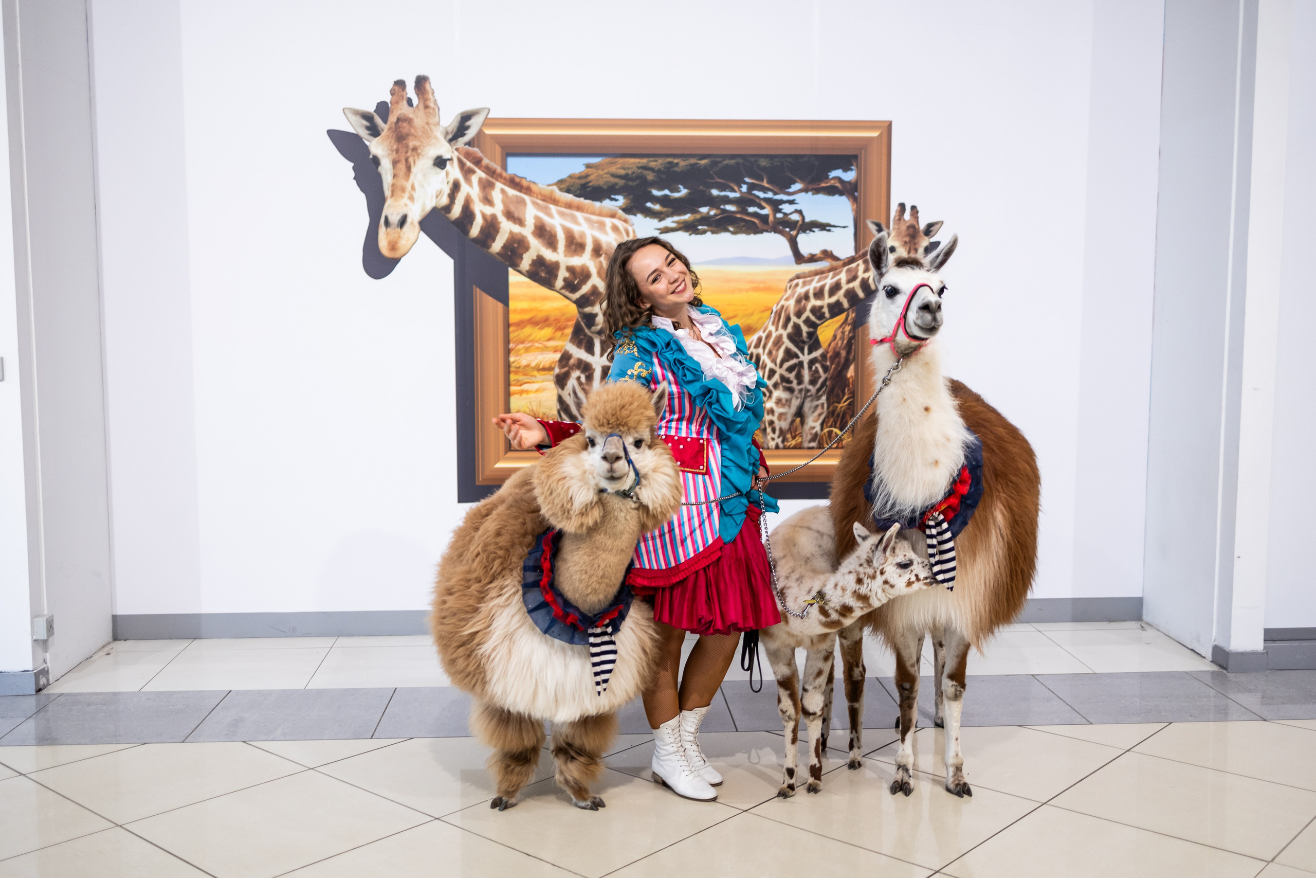 Торговый центр XL, праздник, выходные в ХЛ. Фото и видео Москва, Московский. Свадебный фотограф, видеограф, фотосессии, видеосъемка