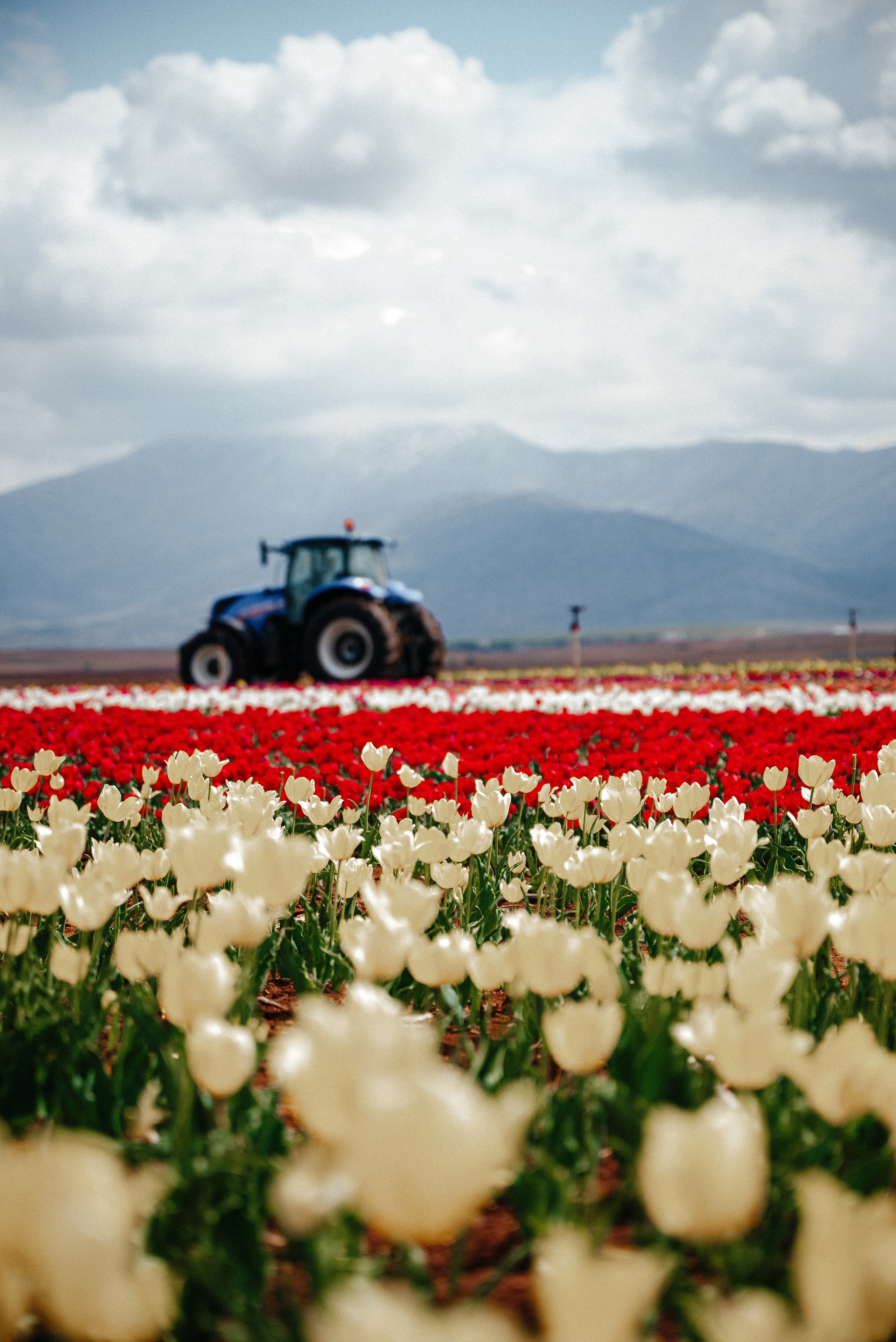 Адана. Анна Лобанова | фотограф