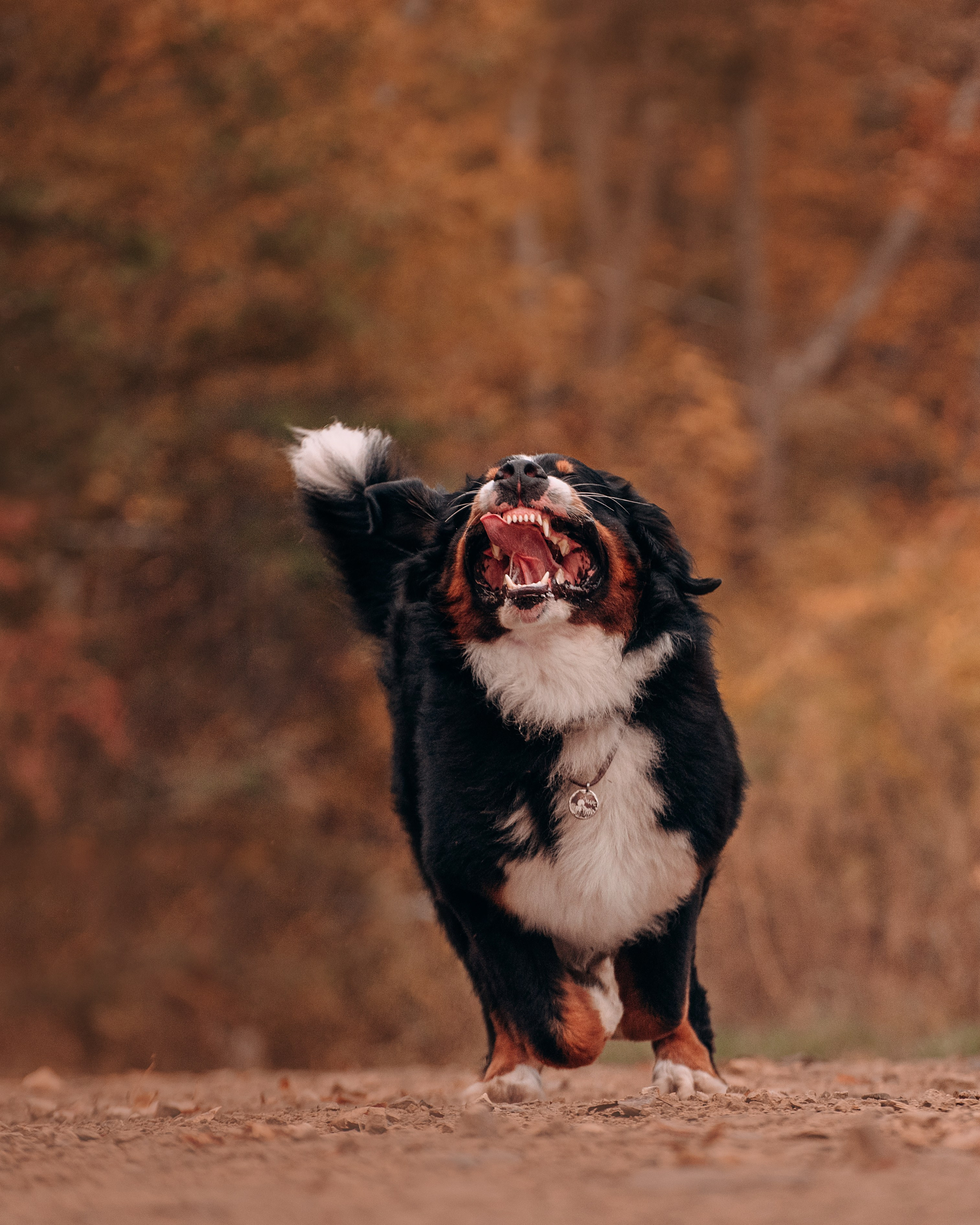 Владивосток: Марс и Маша. Портфолио