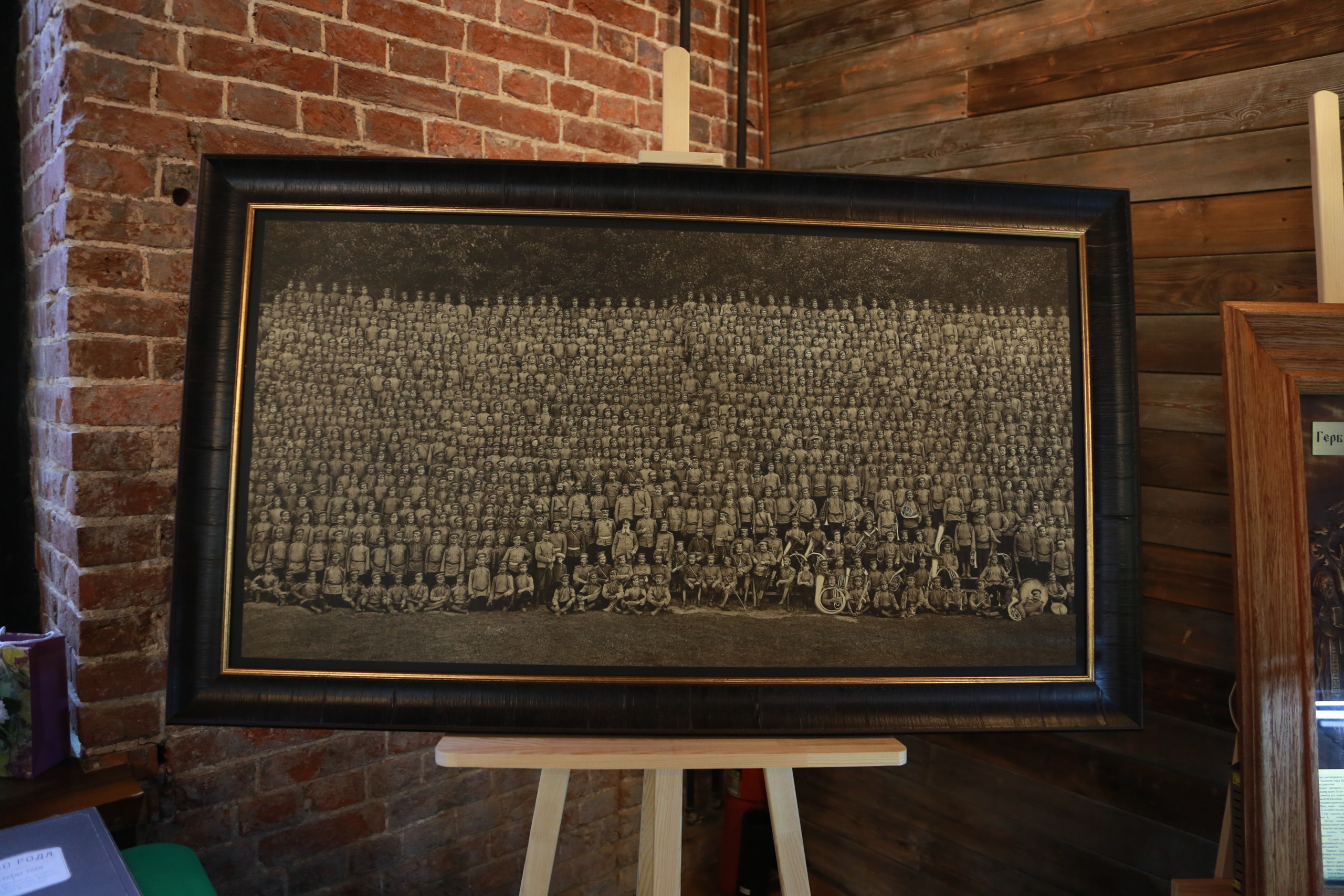 КОРНИ — форум. Профессиональный фотограф Надежда Антонова