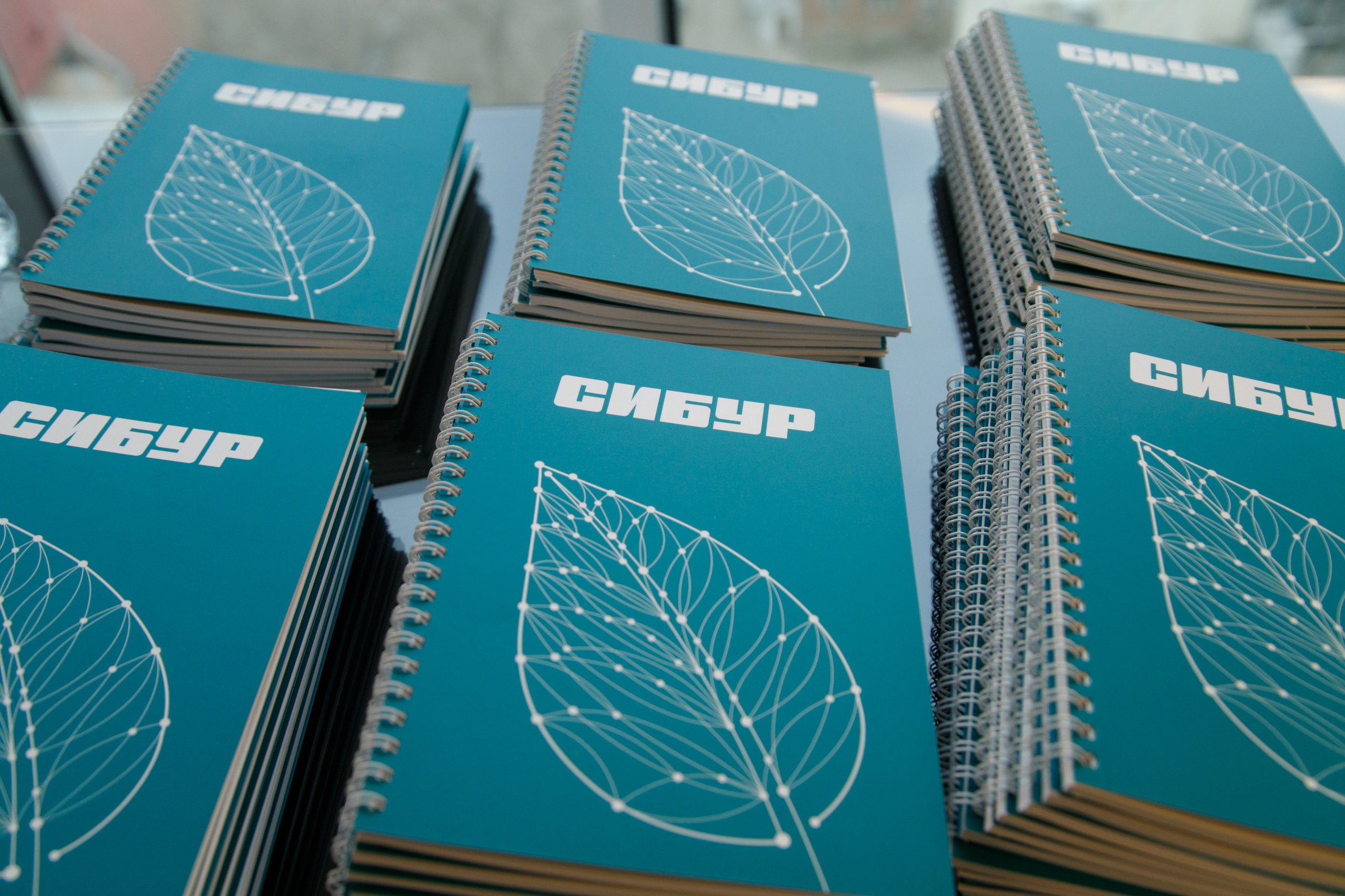 Сибур. Владислав Волков | Фотография и видеосъемка в Воронеже