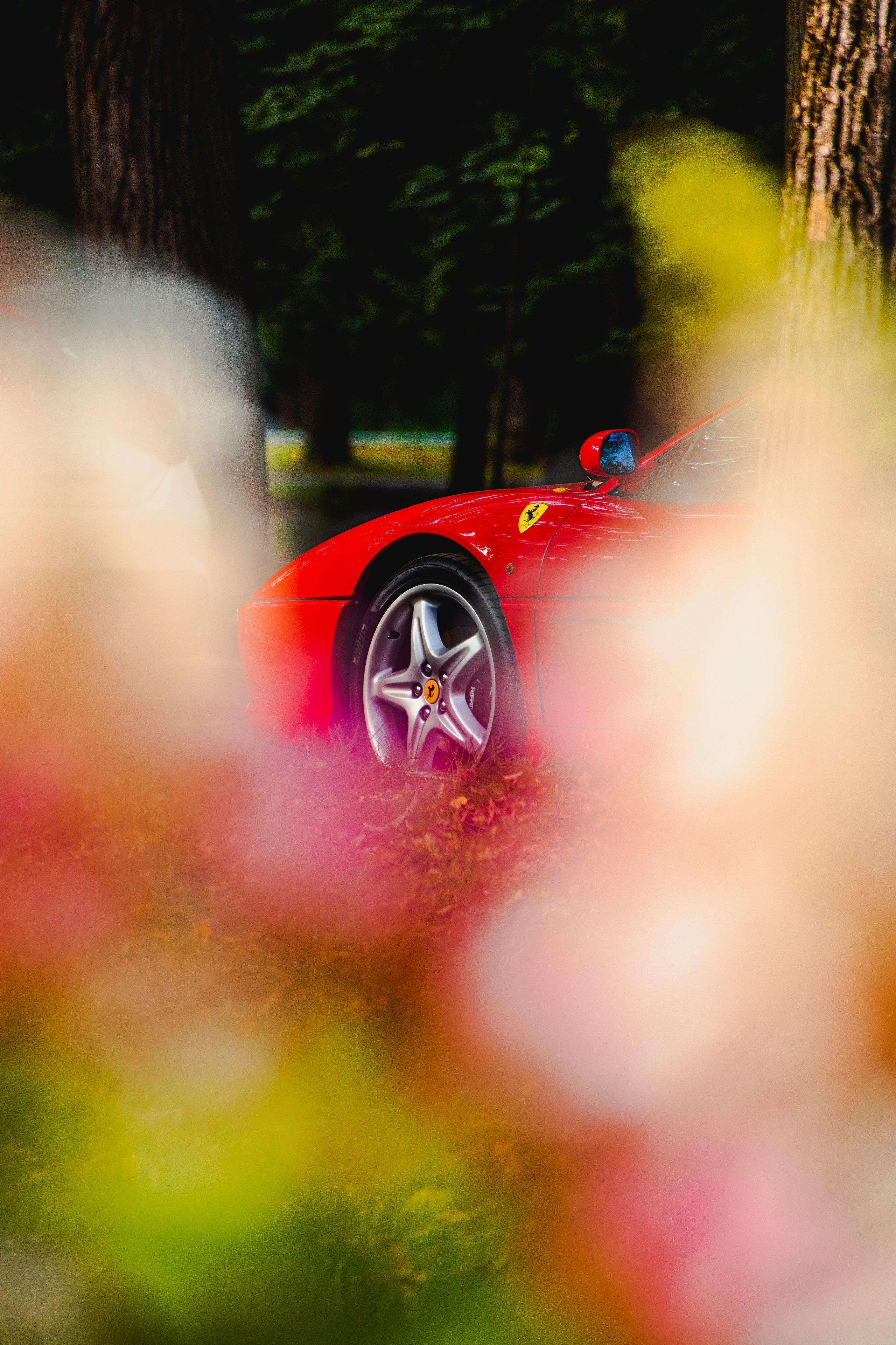 Автовыходные в Архангельской усадьбе. Спортивный фотограф — Никита