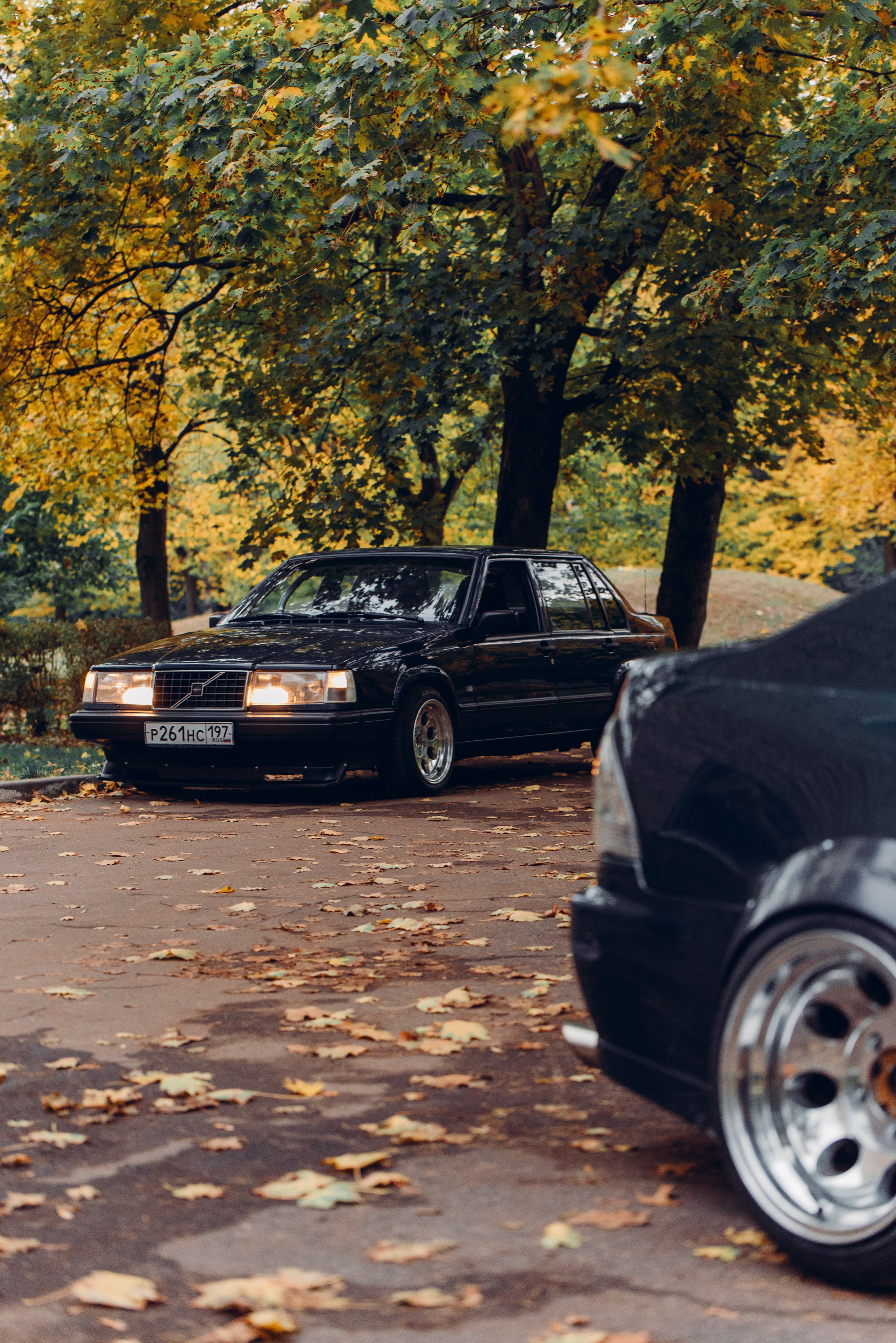 M+V autumn. DeLorein