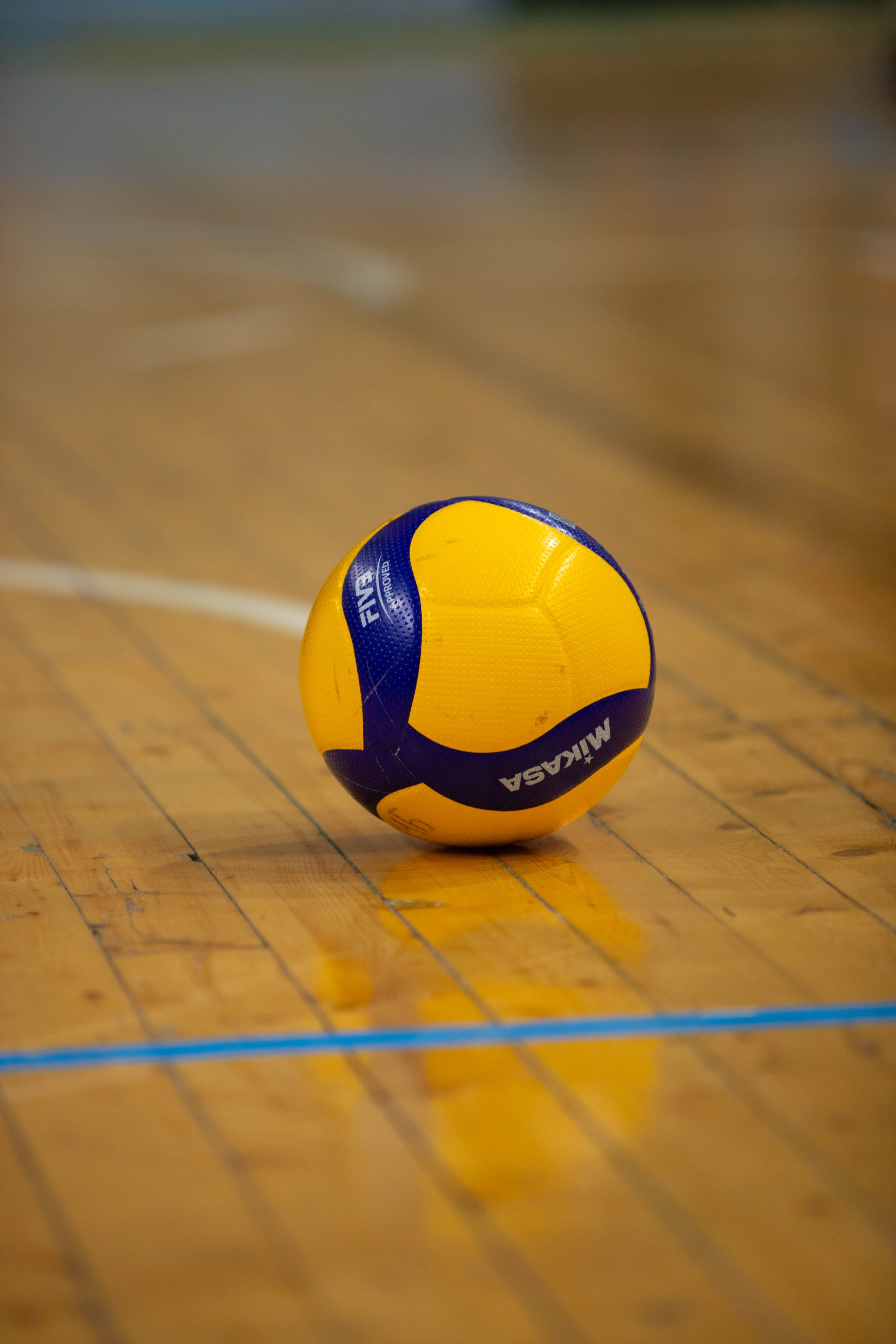 Лига чемпионов бизнеса ВОЛЕЙБОЛ. Александра Мельниченко/ Бегающий фотограф