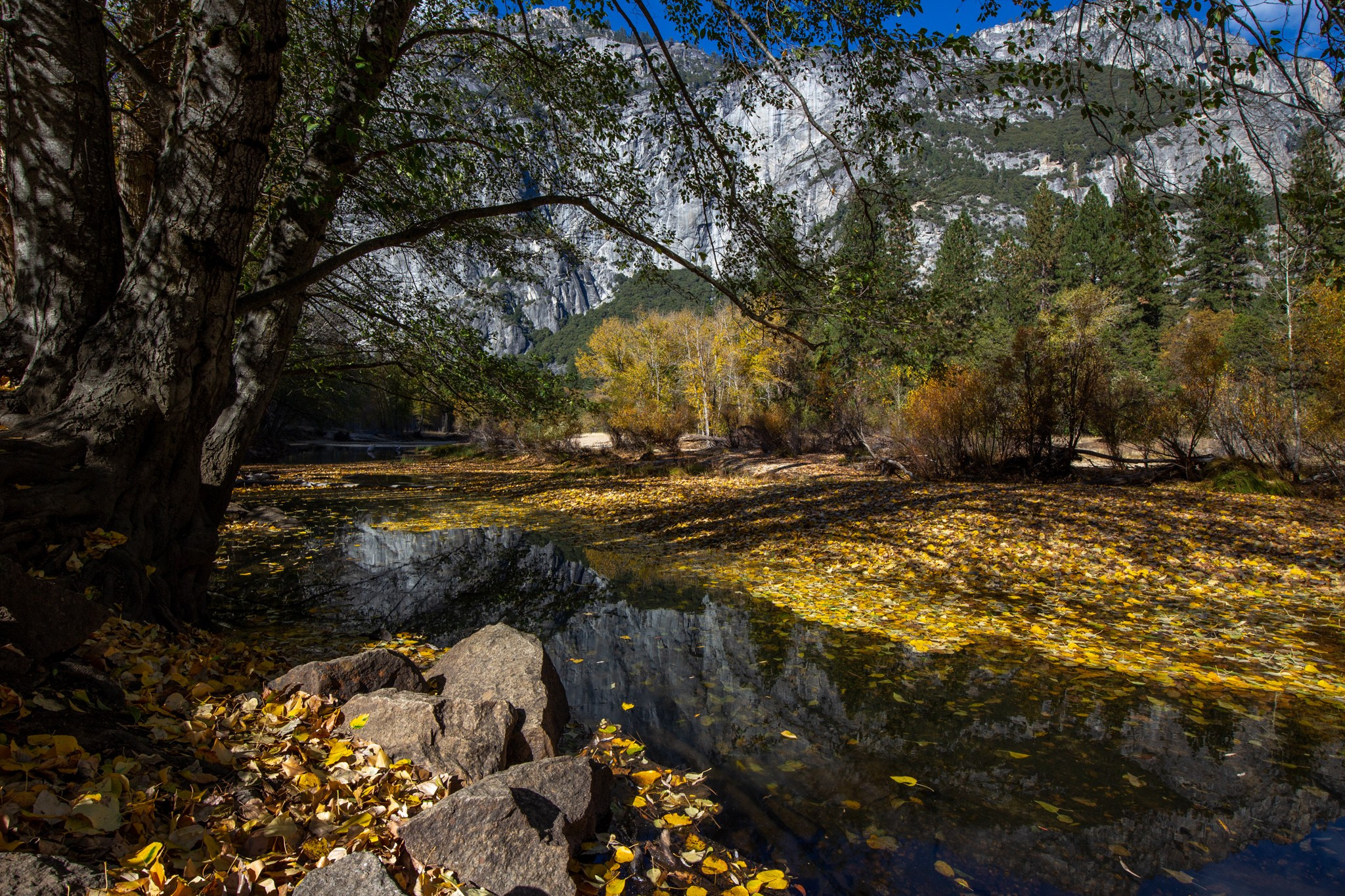 Парк Yosemite, США, 2013. Фотограф Василий Буланов