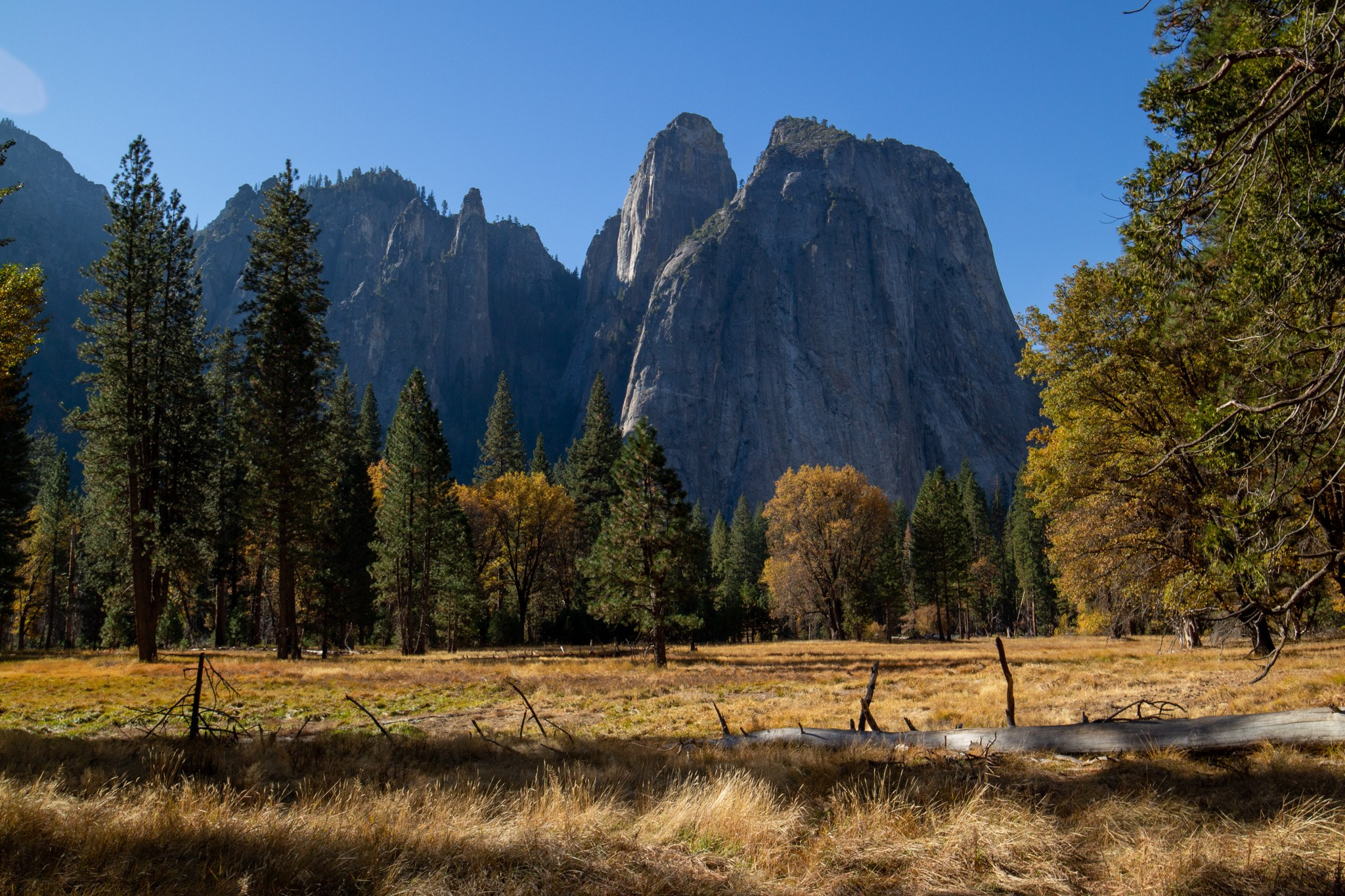 Парк Yosemite, США, 2013. Фотограф Василий Буланов