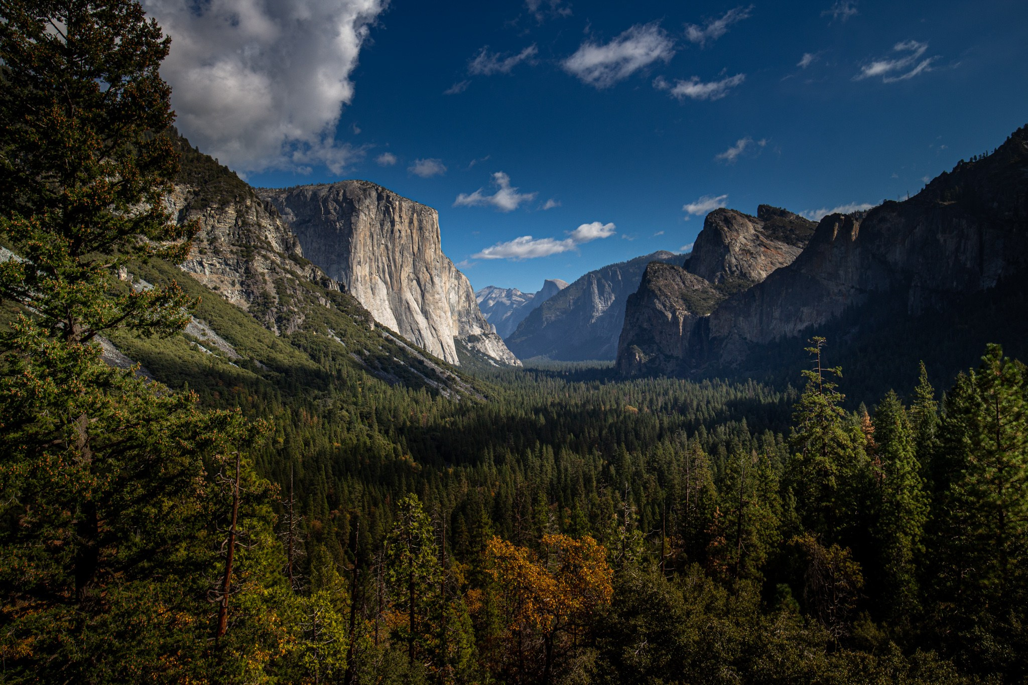 Парк Yosemite, США, 2013. Фотограф Василий Буланов