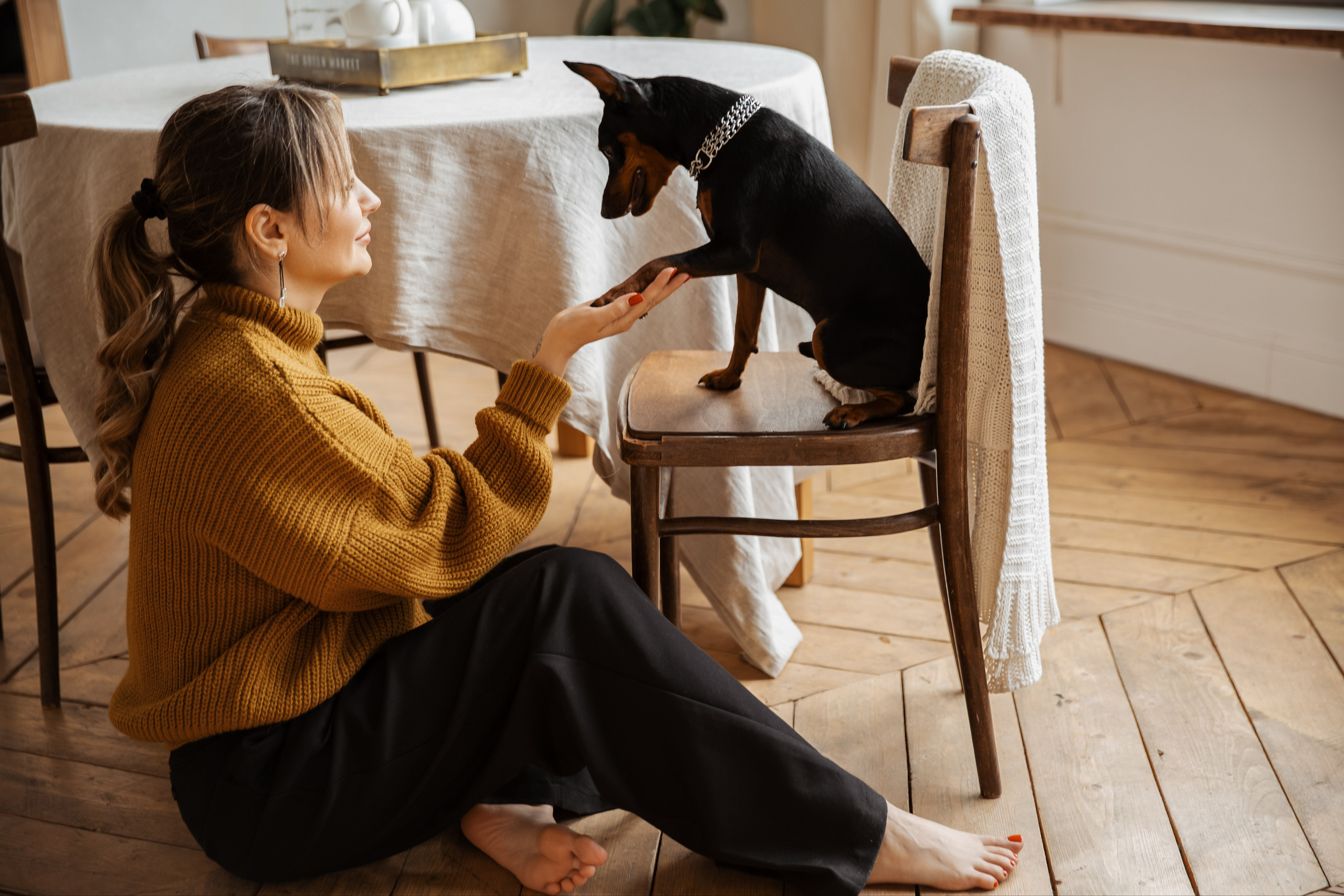 История одной преданной дружбы. Фотограф и видеограф Краснодар
