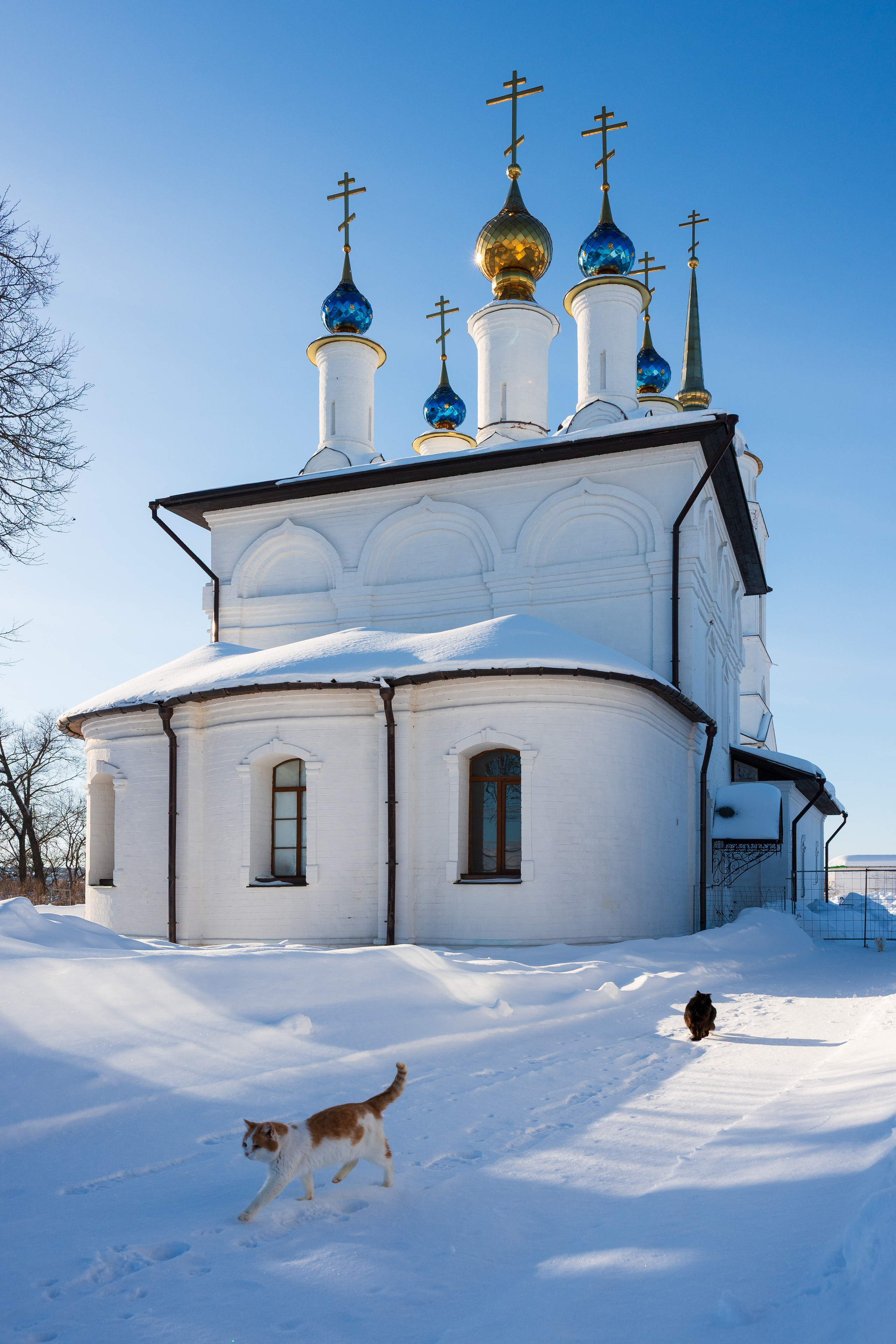 Добринский монастырь, Суворовский район. Фотограф и видеооператор в Туле | Даниил Рыбак
