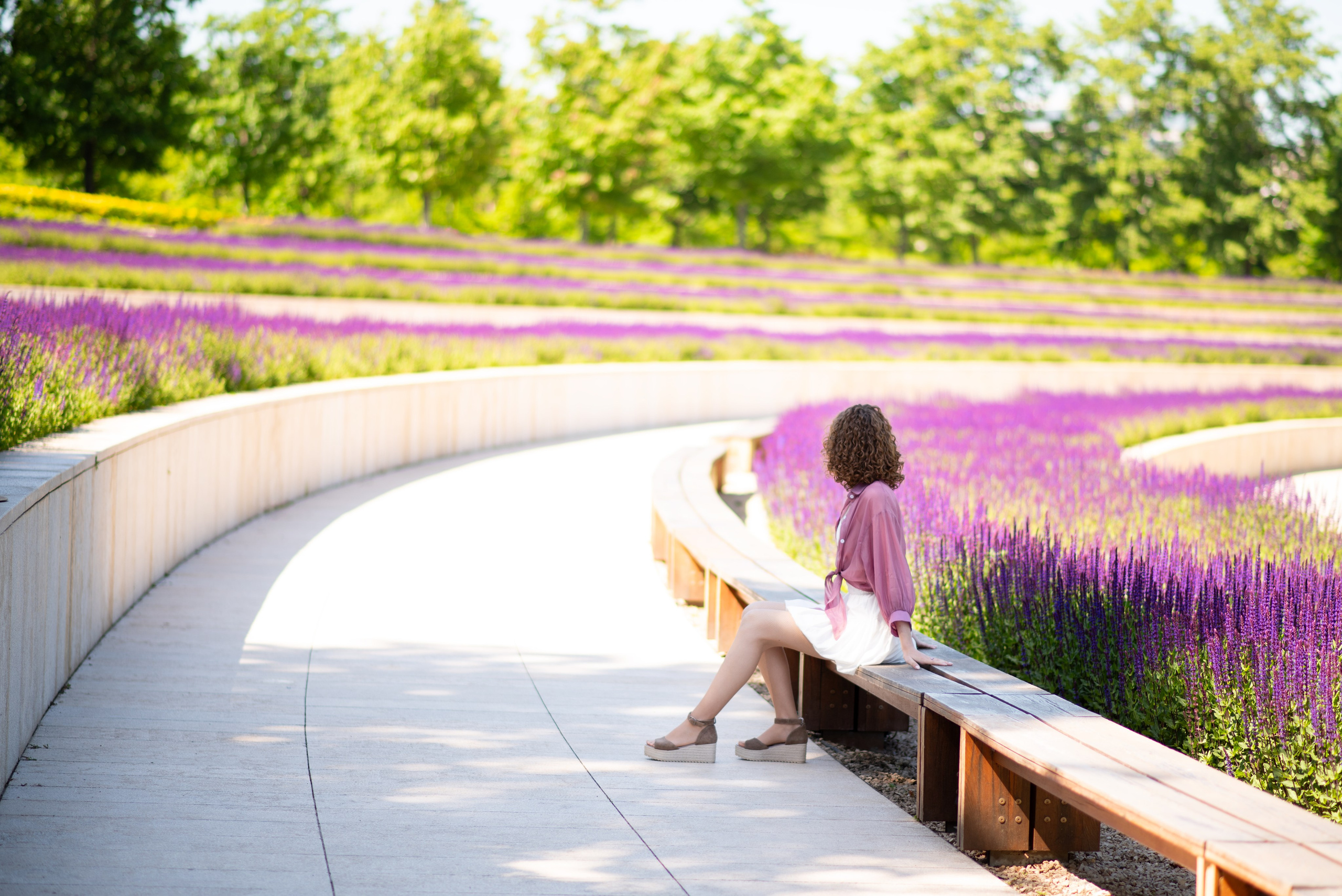 Вика в парке с шалфеем. Фотограф в Краснодаре Анна Карелина