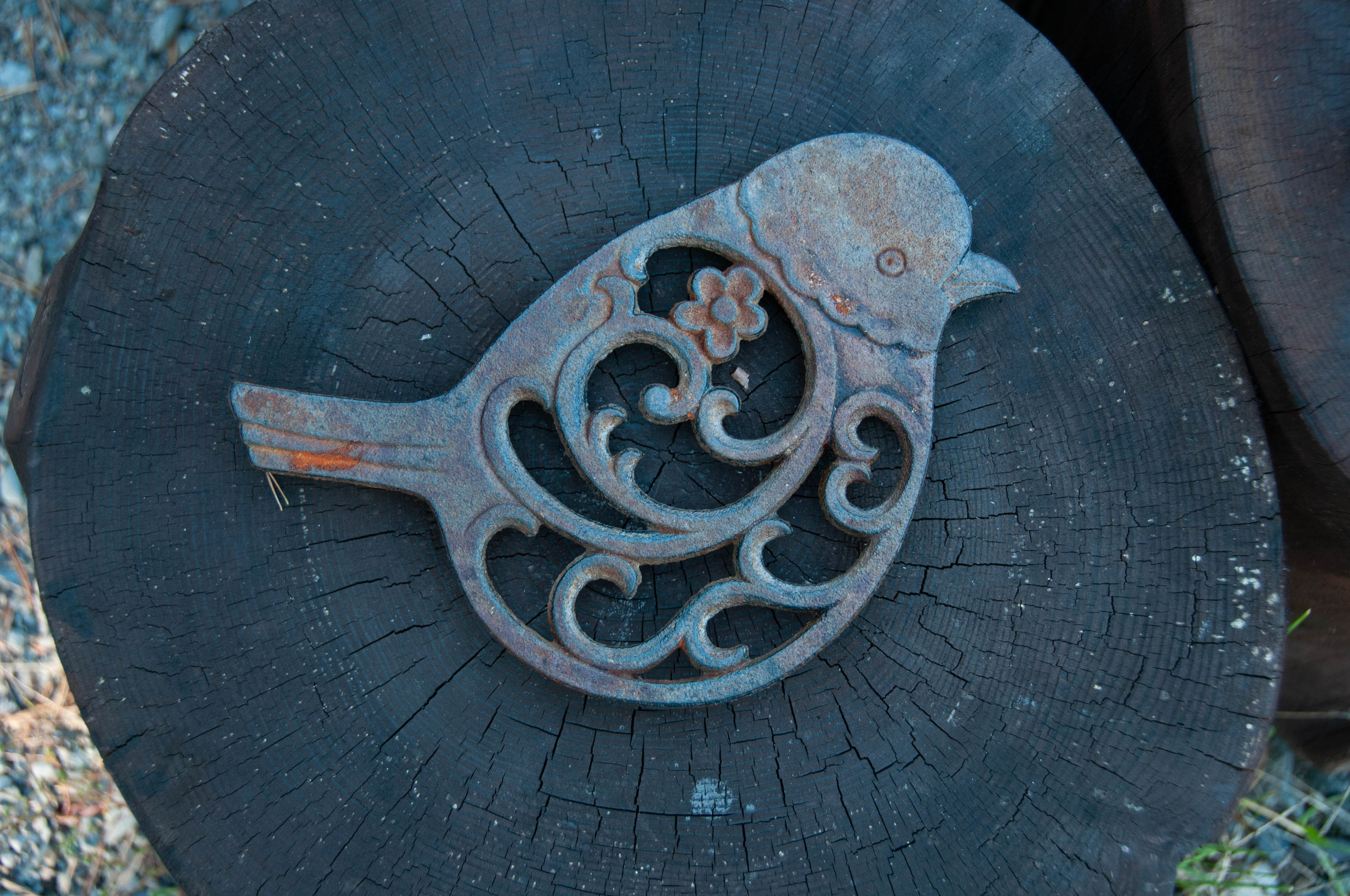 Интерьеры, ландшафты, предметы. Портретный фотограф в республике Алтай Юлия Шевченко