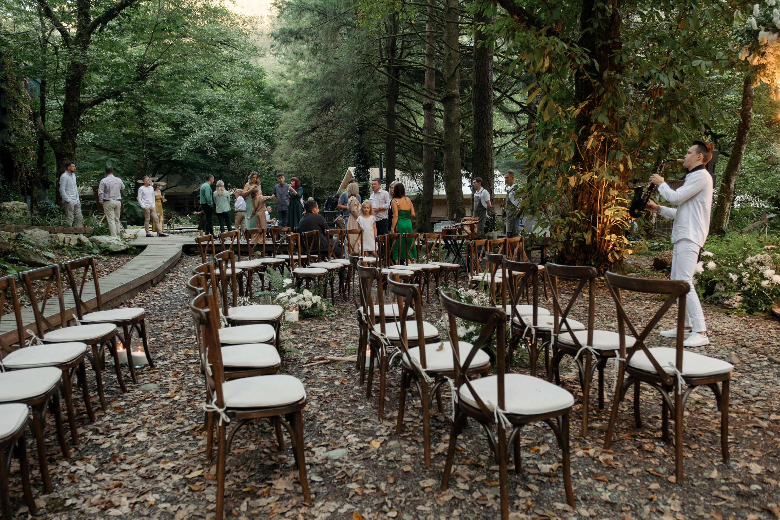 Кот и Дракон. Свадебный Видеограф Фотограф в Сочи