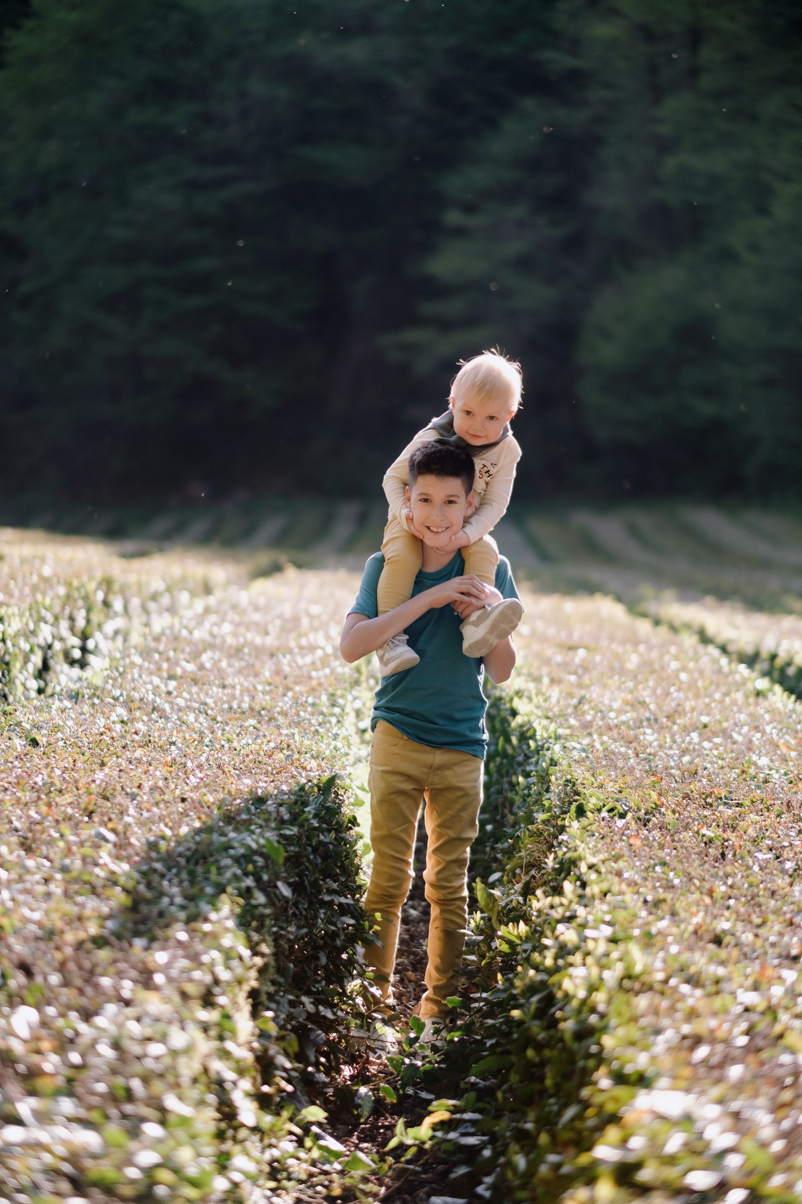 Дагомыские корыта. Свадебный Видеограф Фотограф в Сочи