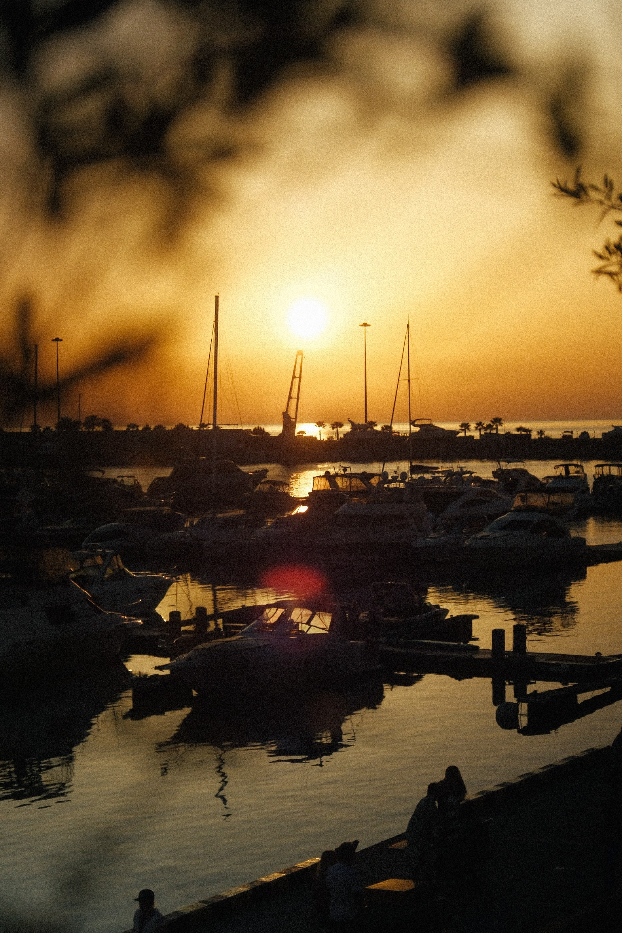 Морской. Свадебный Видеограф Фотограф в Сочи