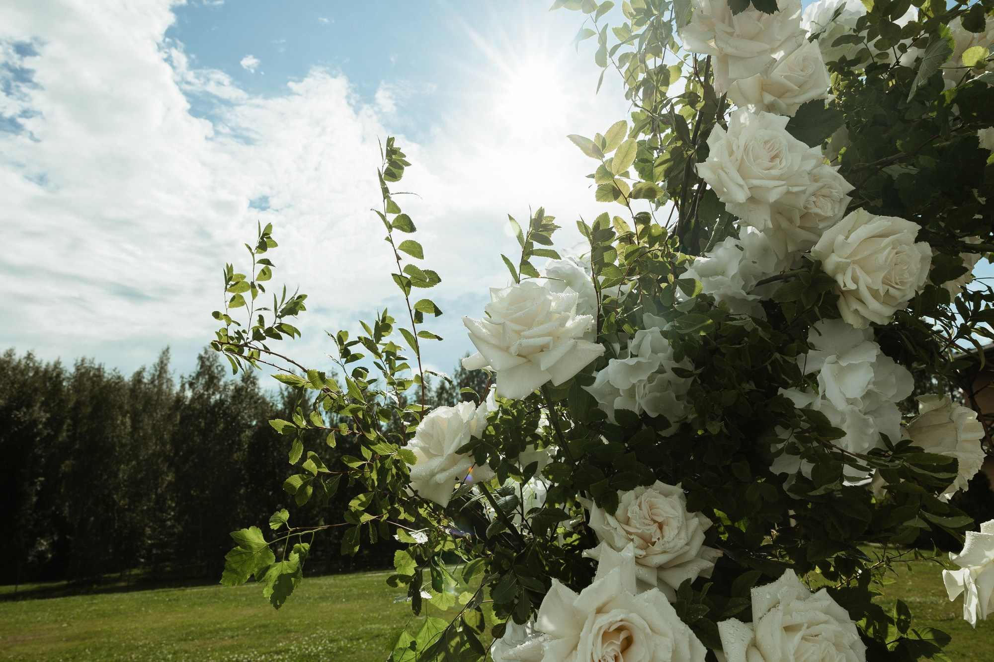 Яна &  Дмитрий. Свадебный фотограф в Москве и Санкт-Петербурге Анастасия Мирославская