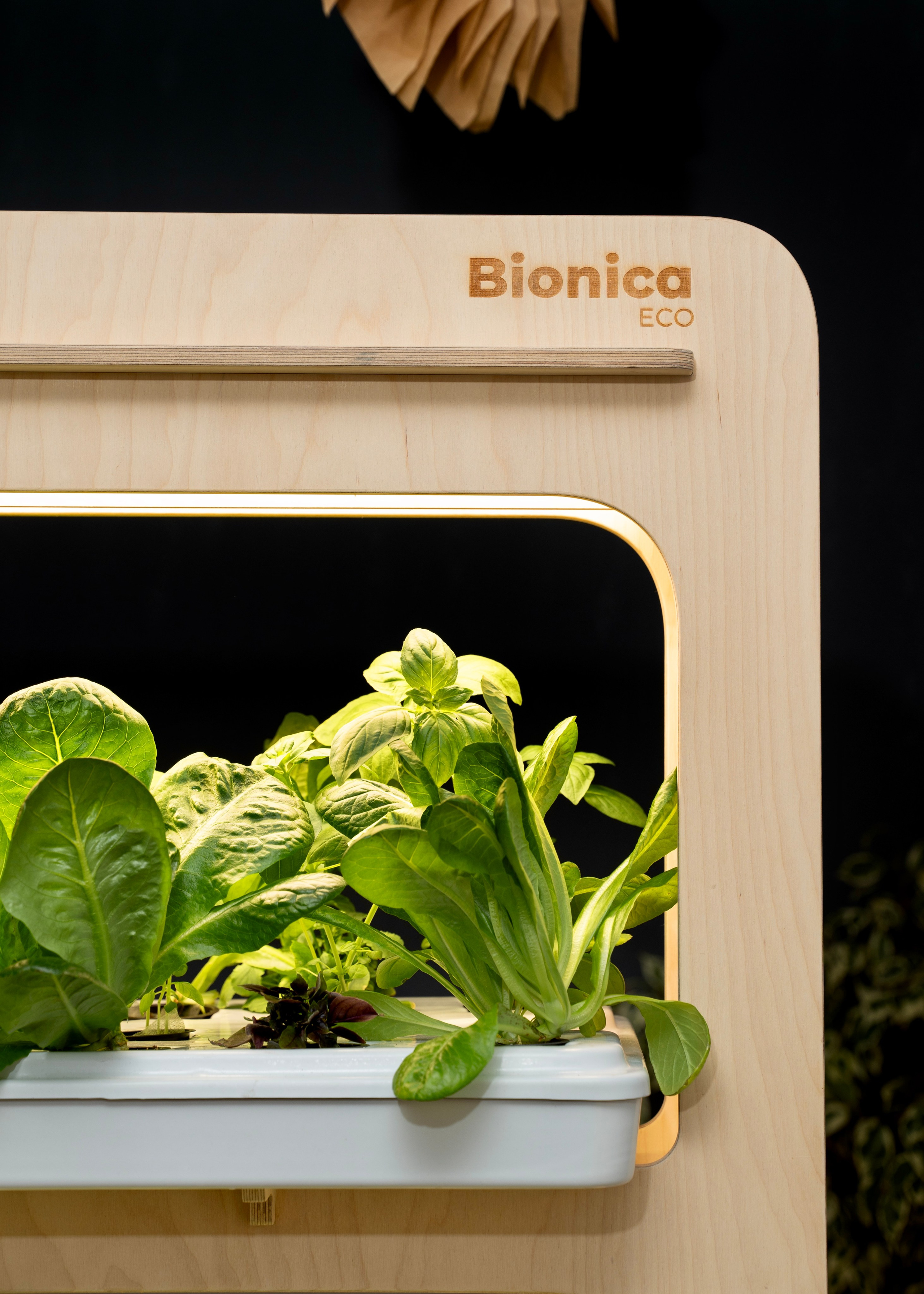 Контент съёмка. Главная