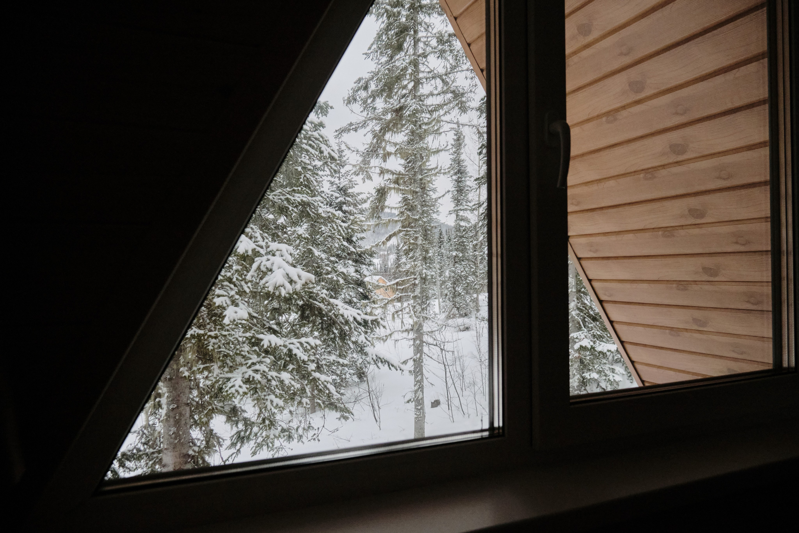 Ледовая 59 Дом 2 (Афрейм). Свадебный и семейный фотограф в Новокузнецке Иван Иванов