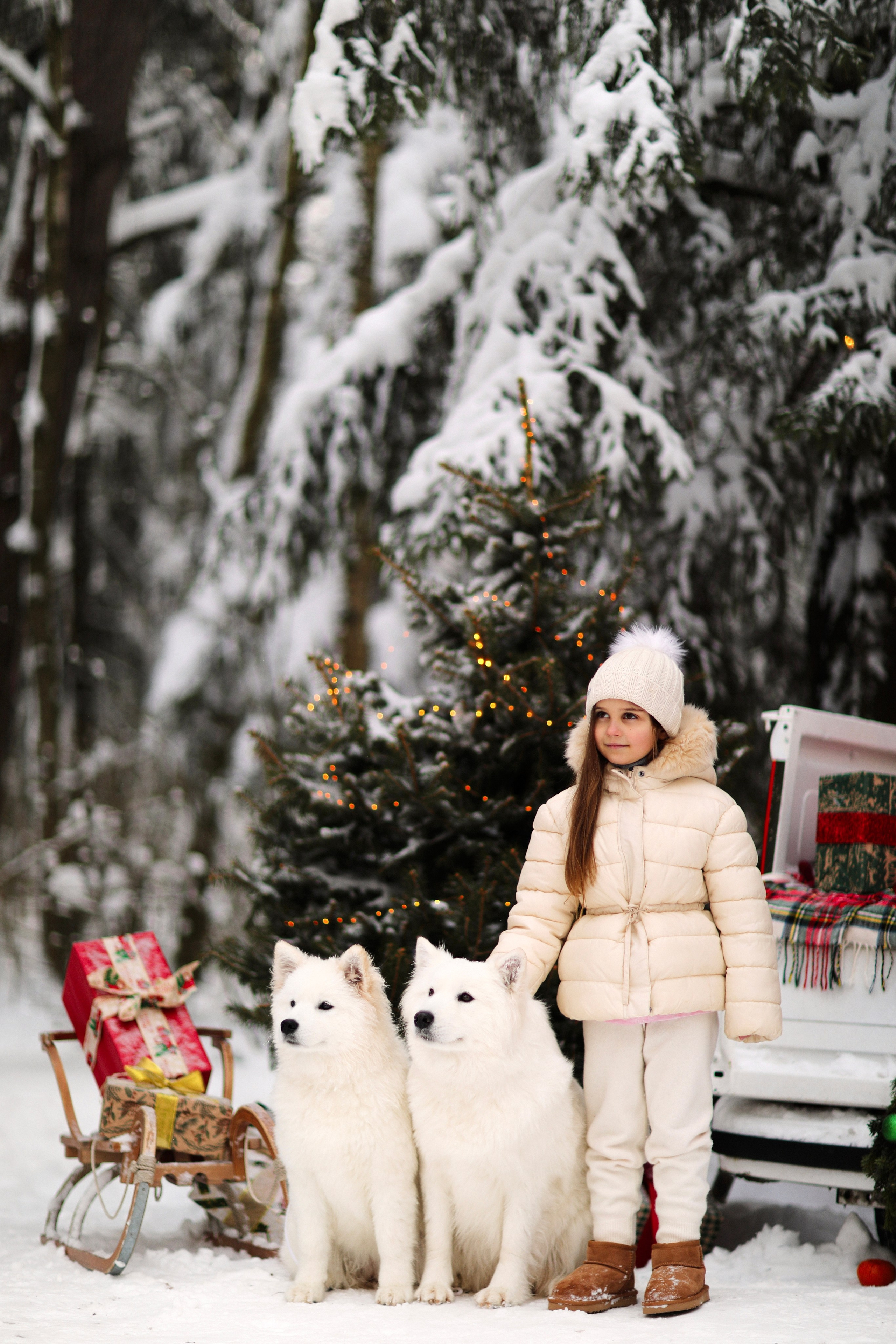 Winter Tale (зимняя детская фотосессия с самоедами). Семейный и детский фотограф Москва