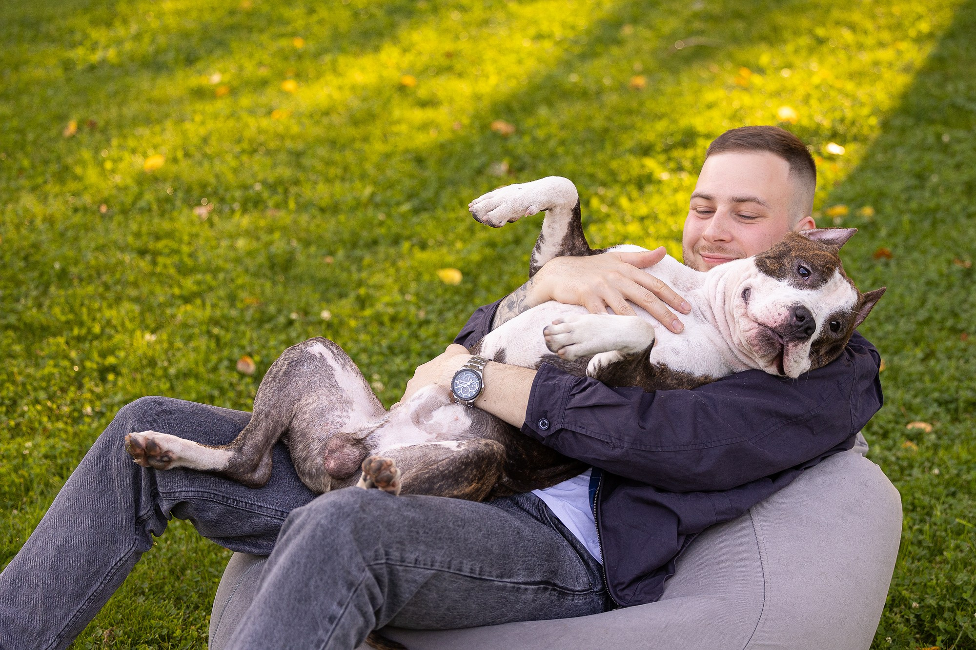 Амстафф Честер и его семья. Фотограф-анималист Natalia Deingel | Фотосъемка собак в Москве