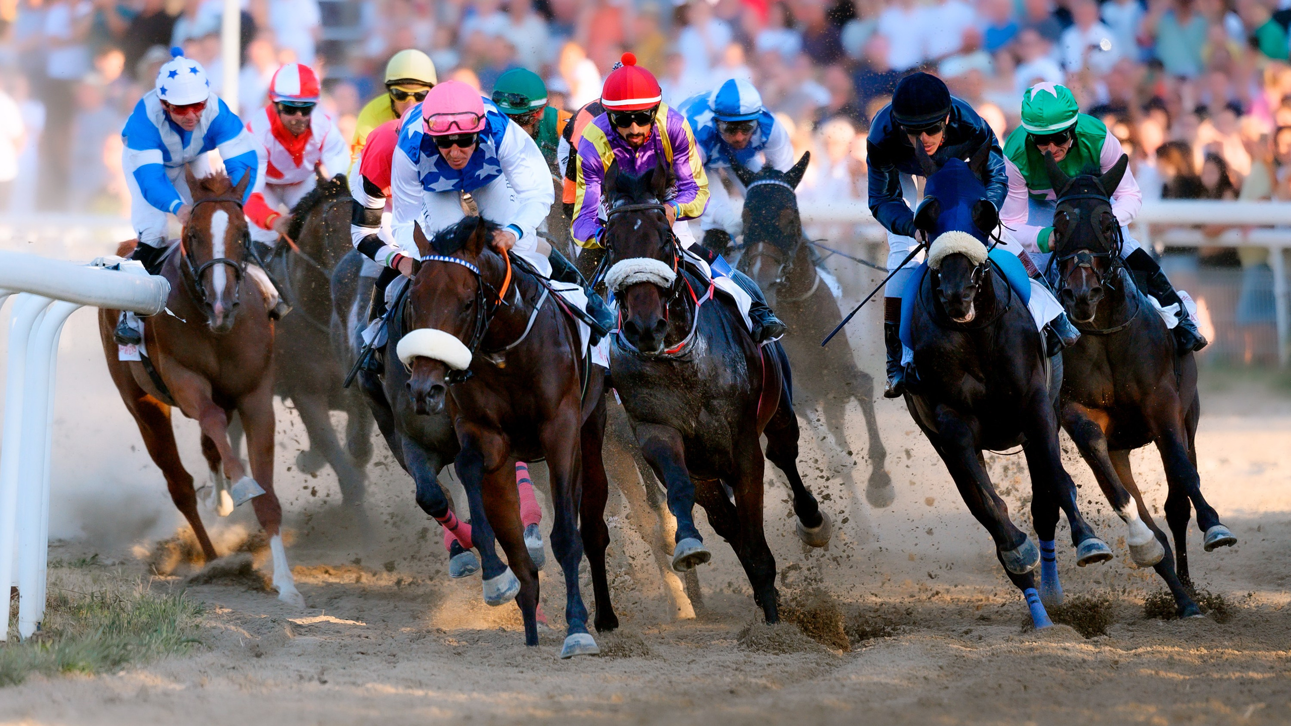 Скачки. Конный фотограф Alesya Safe