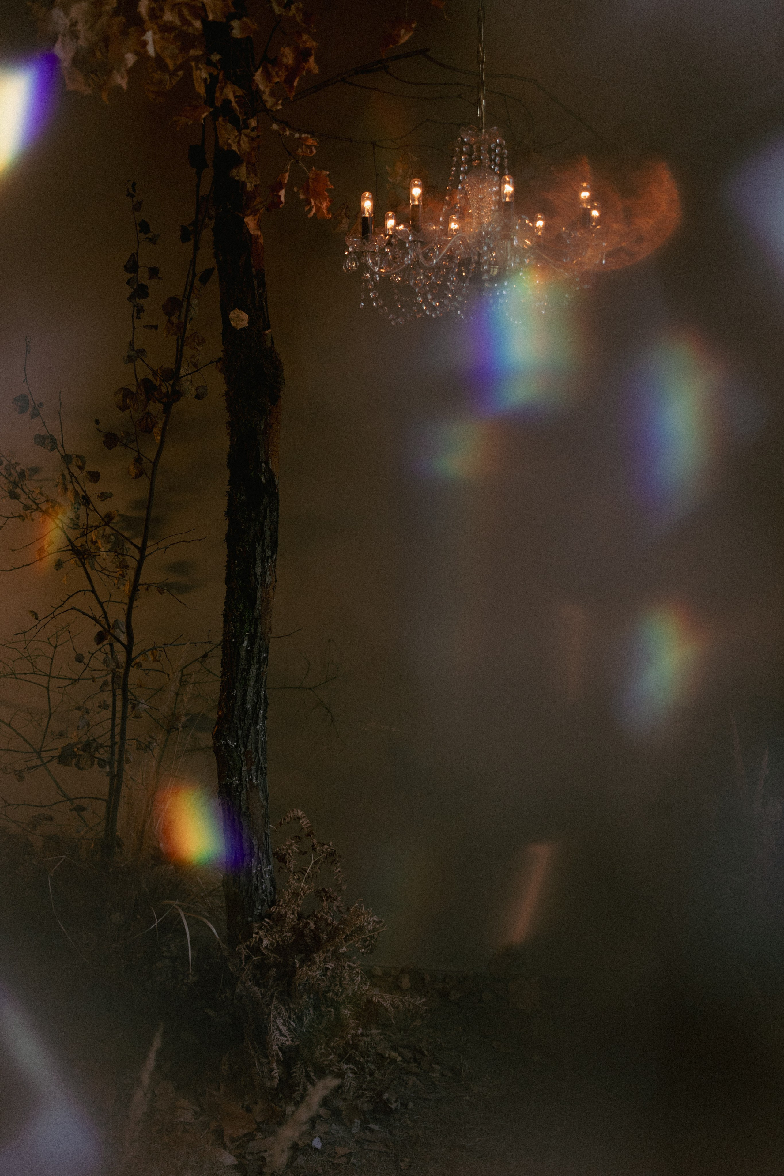 Алина. Фотограф Виктор Курий