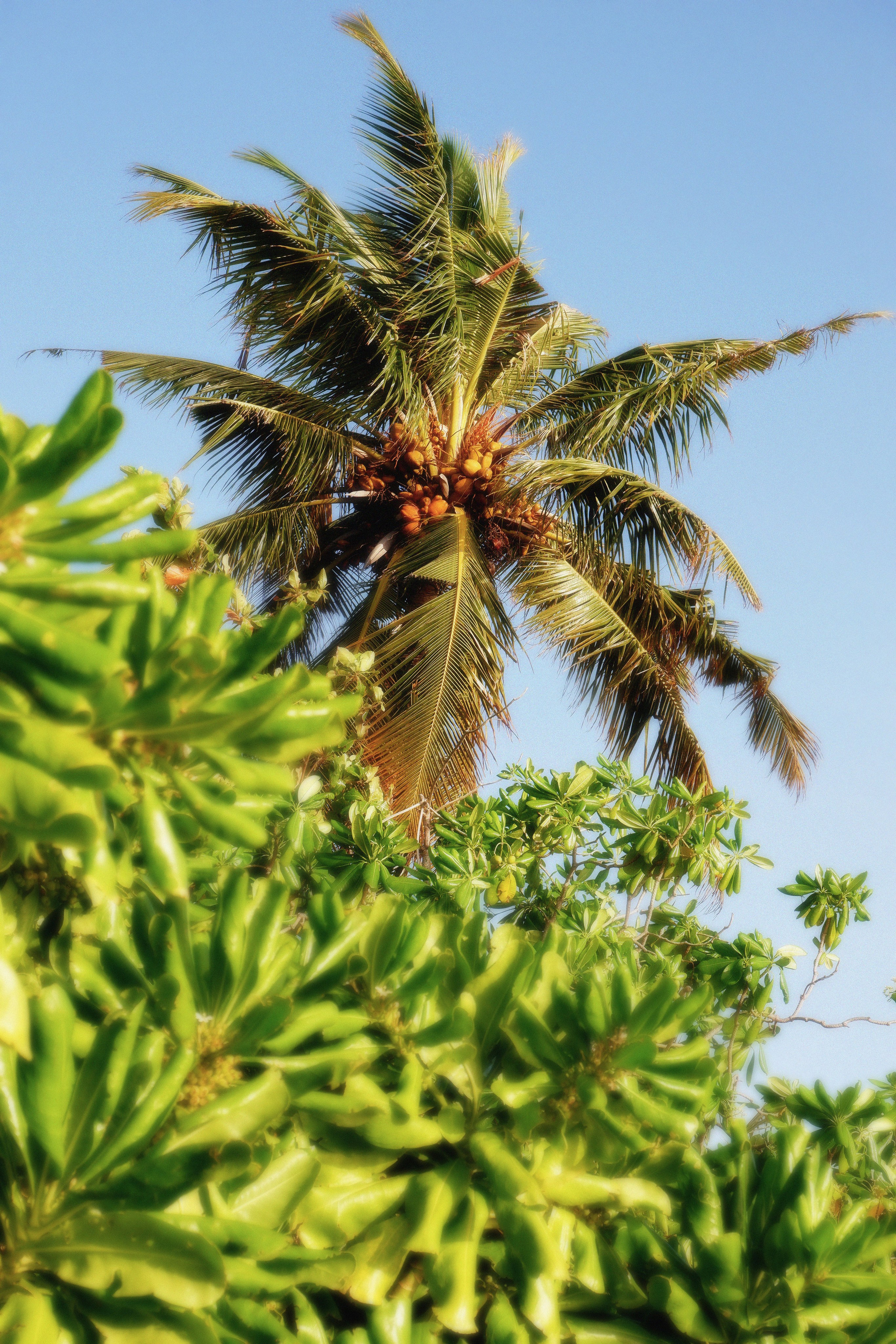 MALDIVES&BAHRAIN. ANNA — PHOTOGRAPHER