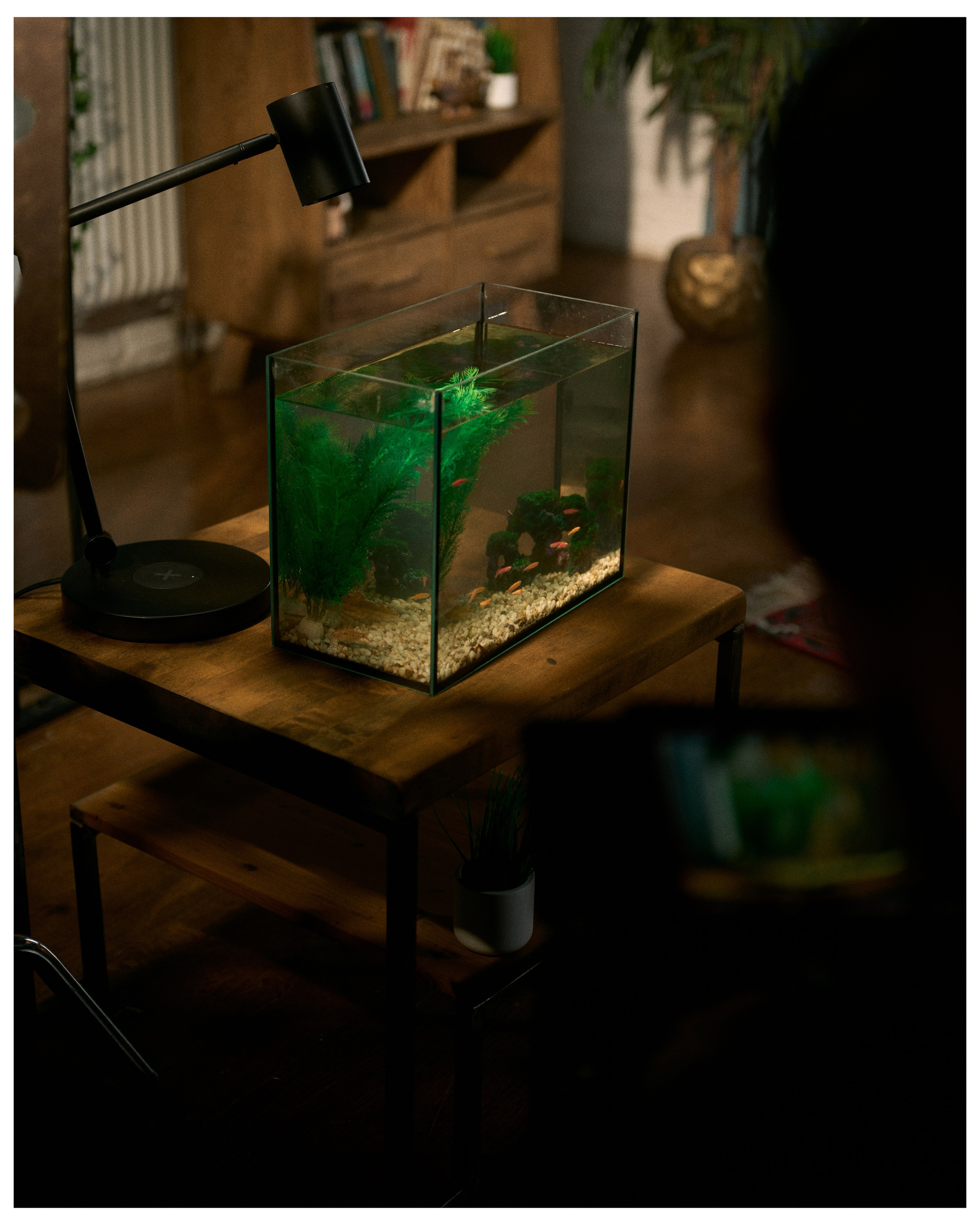 NICE LOFT. ANNA — PHOTOGRAPHER